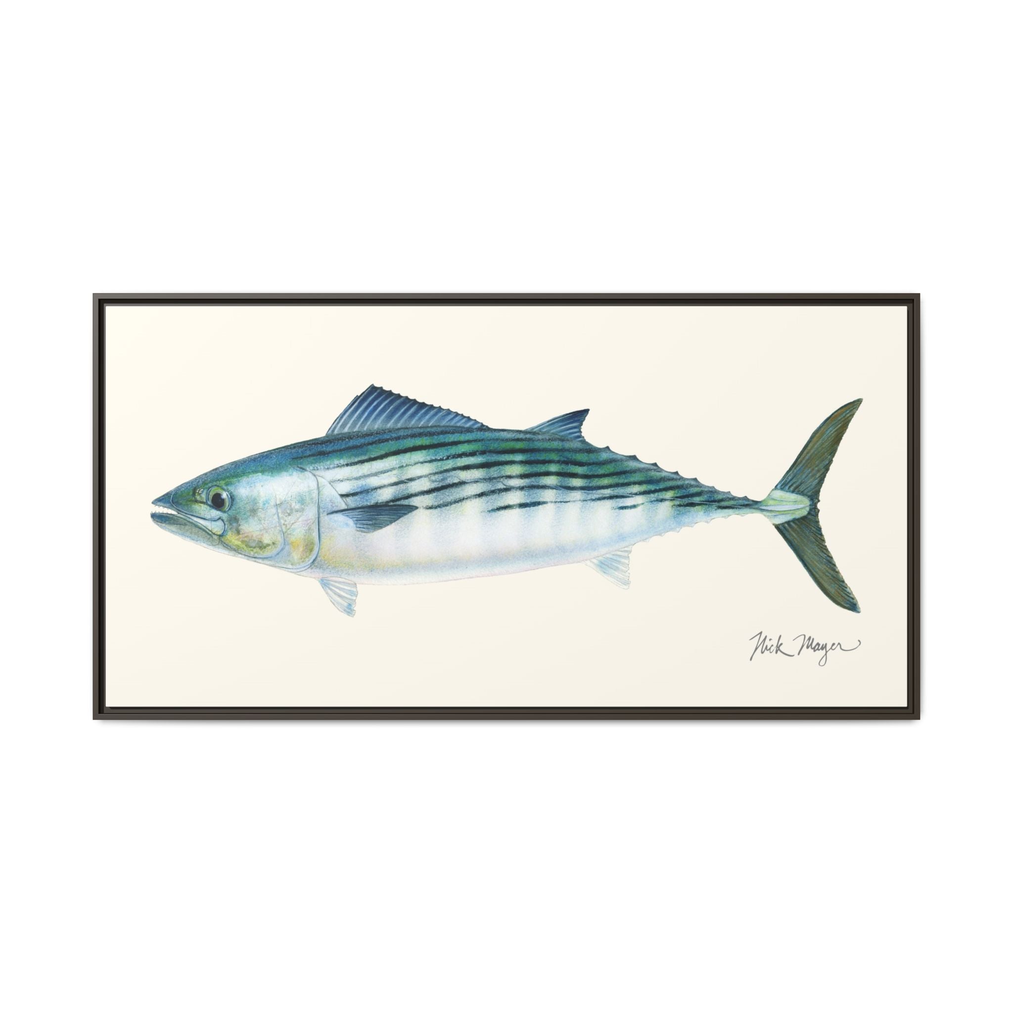 Bonito Framed Canvas Print Printify
