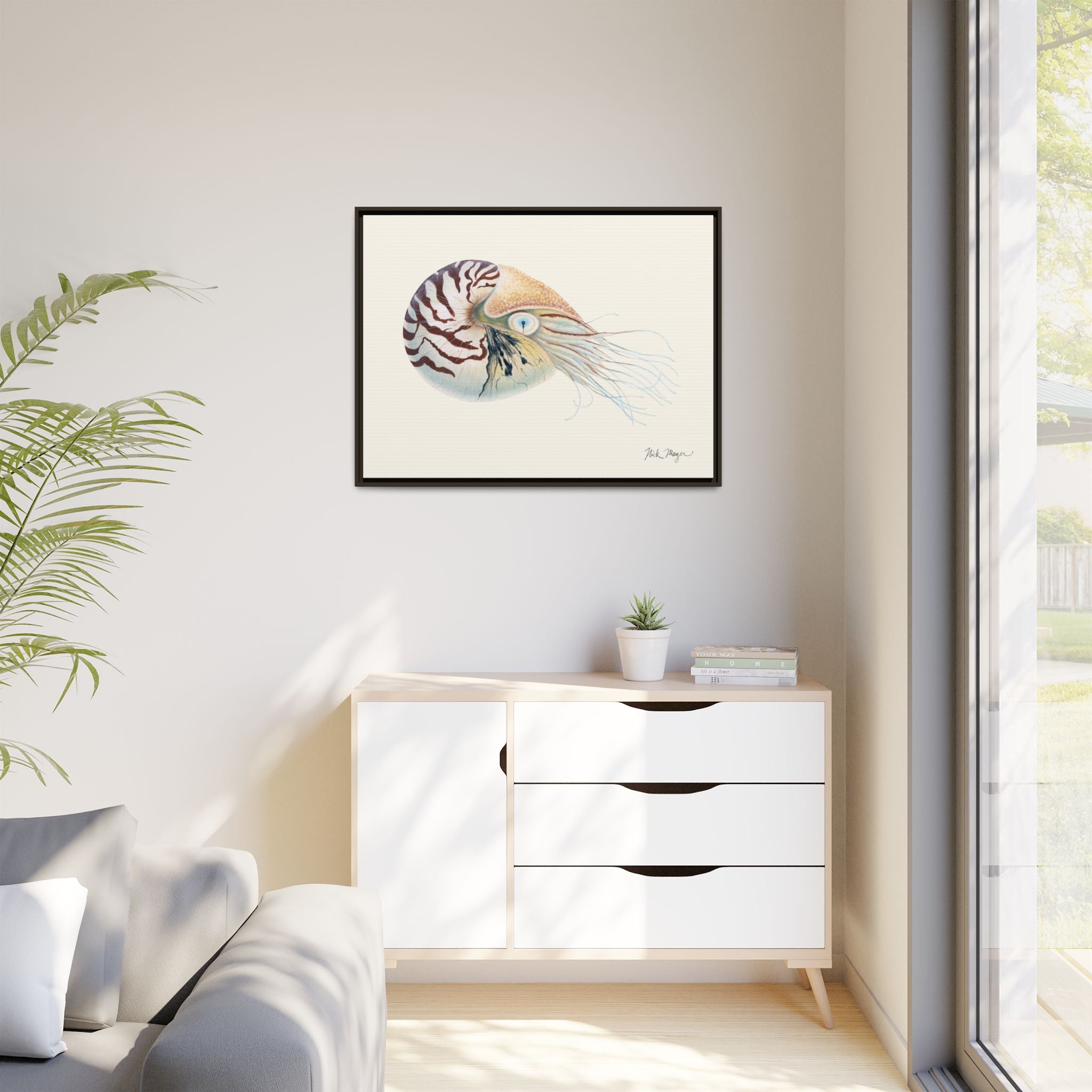Chambered Nautilus Framed Canvas Print Printify