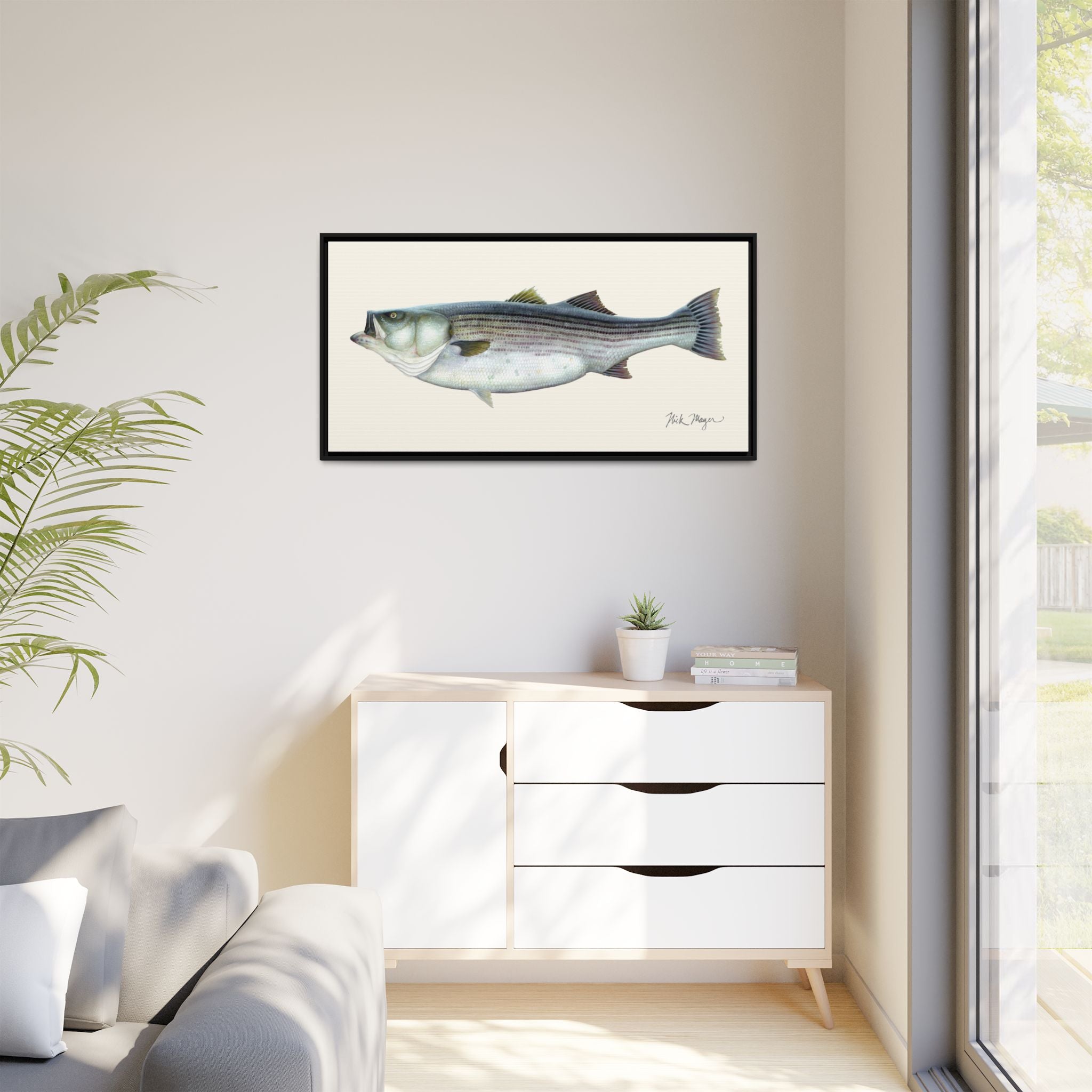 Striped Bass, 60 lbs Framed Canvas Print Printify