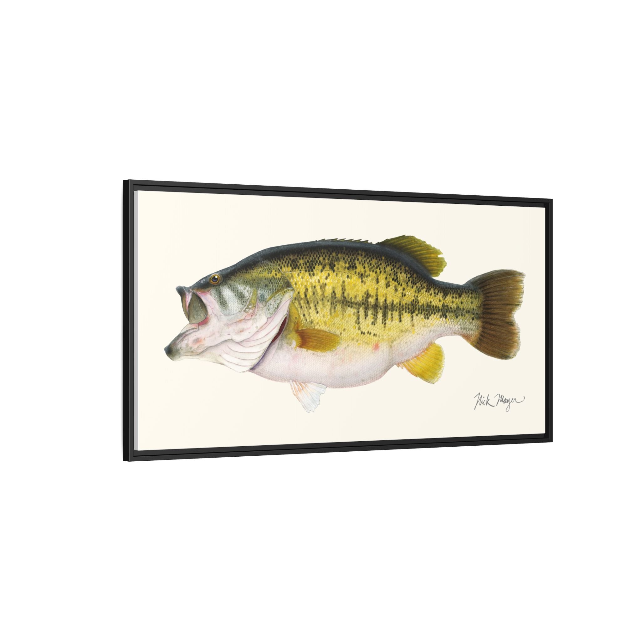 Largemouth Bass II Framed Canvas Print