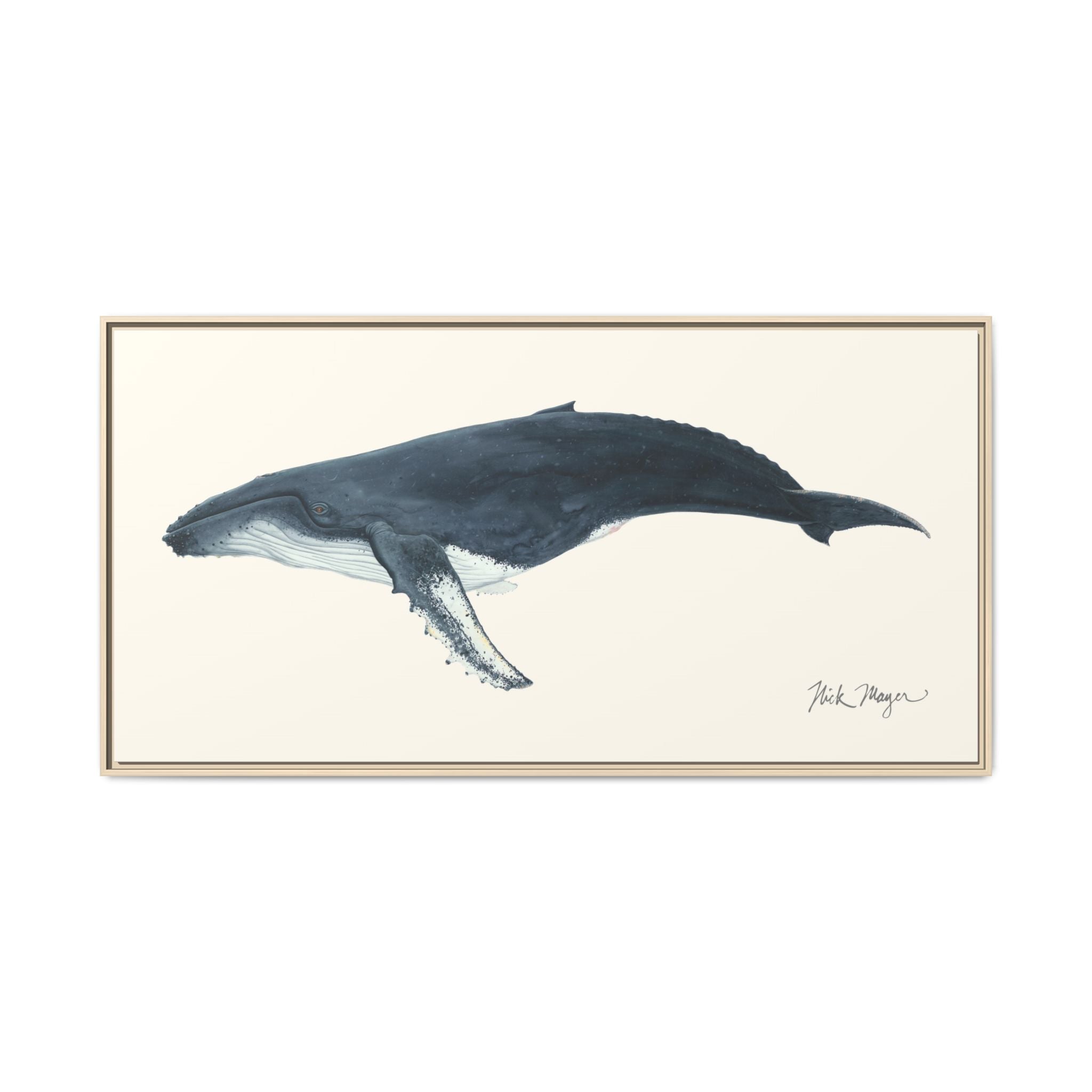 Humpback Whale Framed Canvas Print Printify
