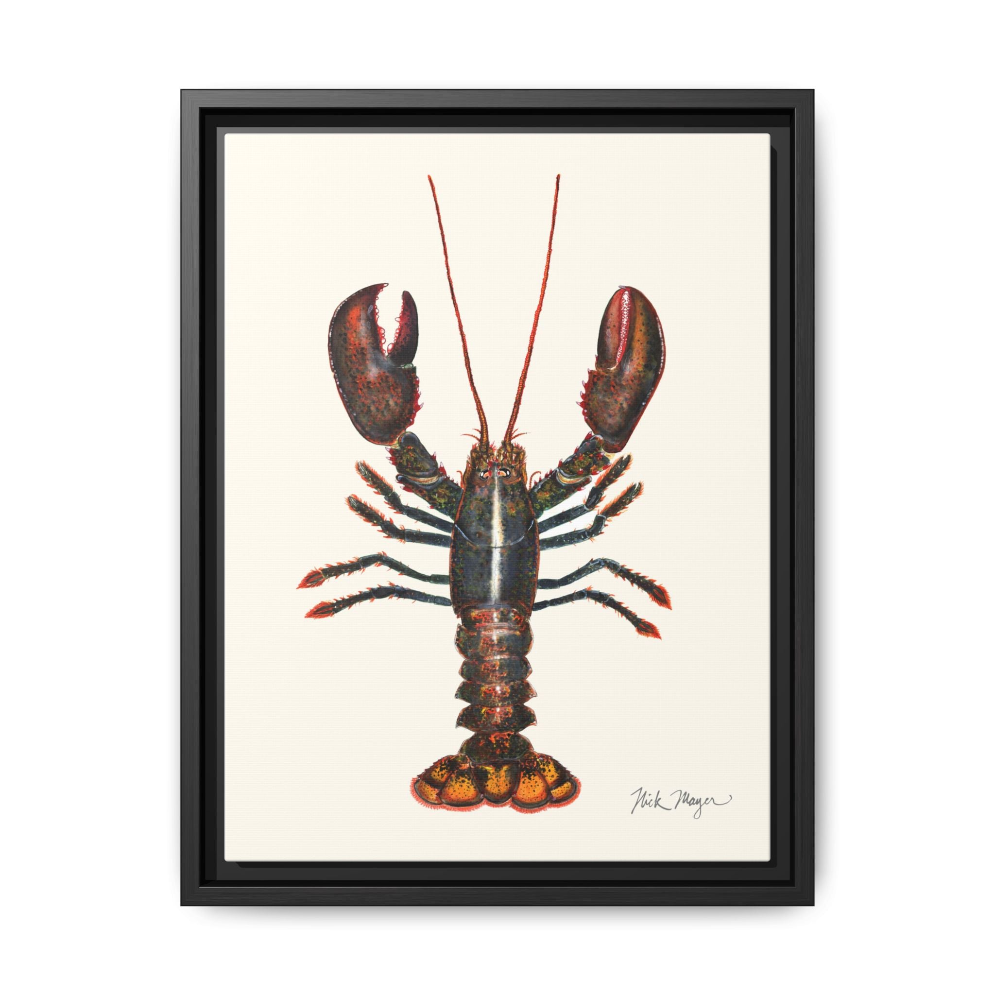 Northern Lobster Framed Canvas Print Printify