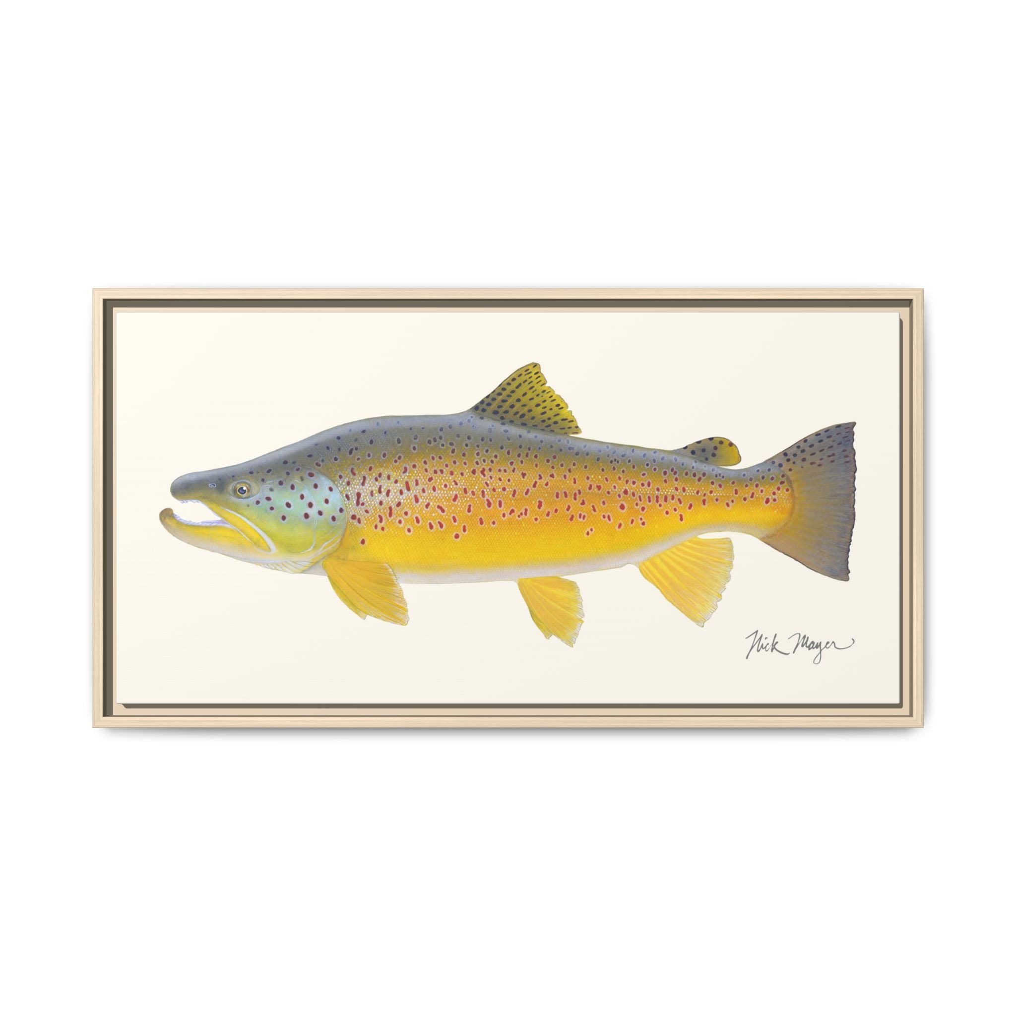 Brown Trout III Framed Canvas Print Printify