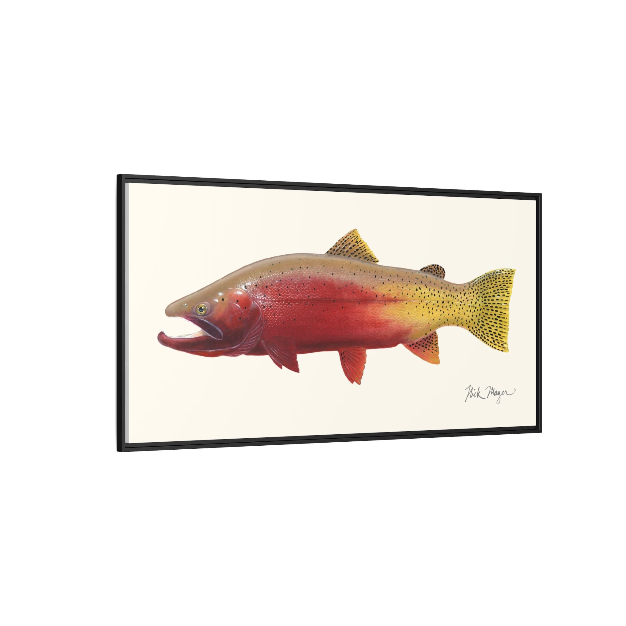 Cutthroat Trout II Framed Canvas Print Printify