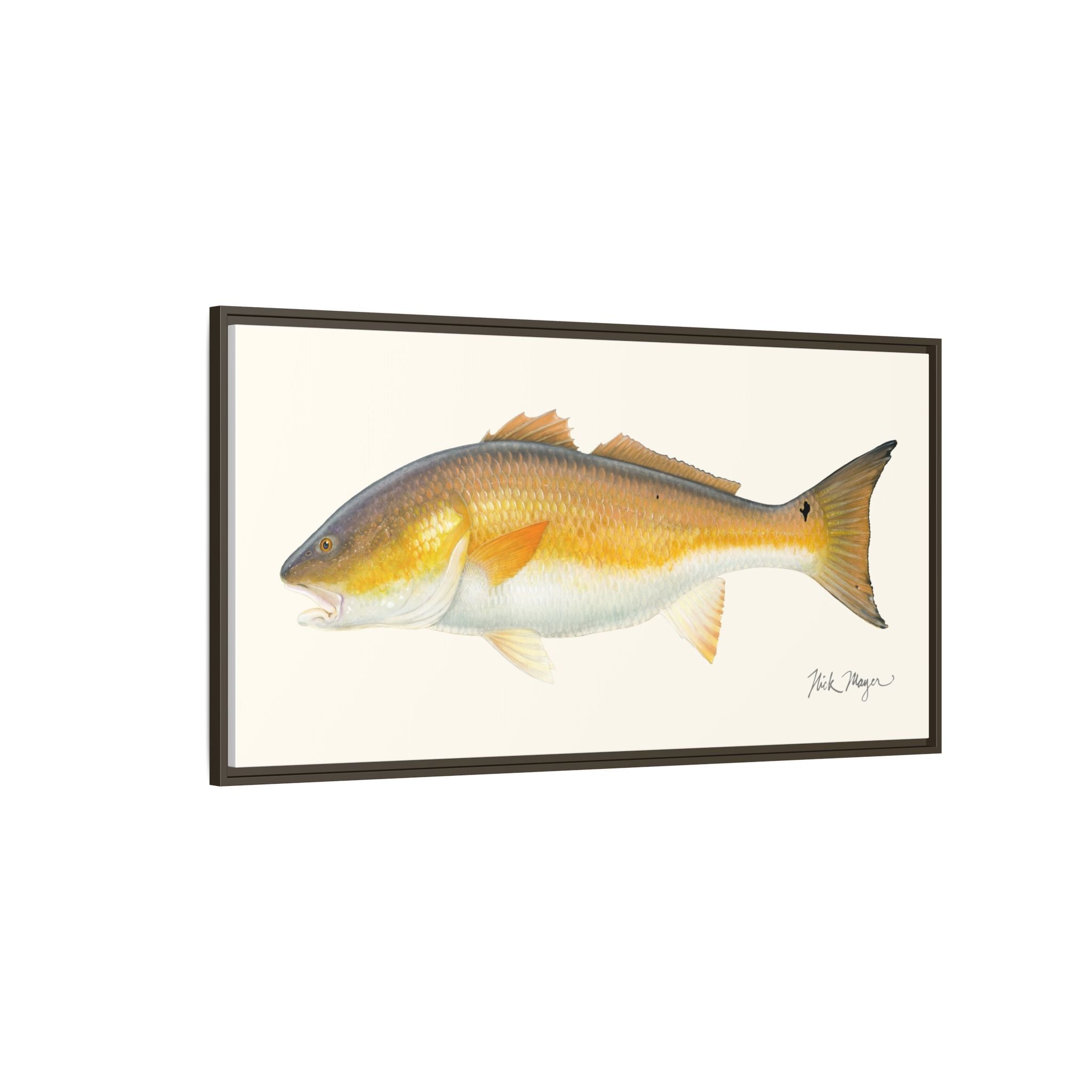 Bull Redfish Framed Canvas Print Printify