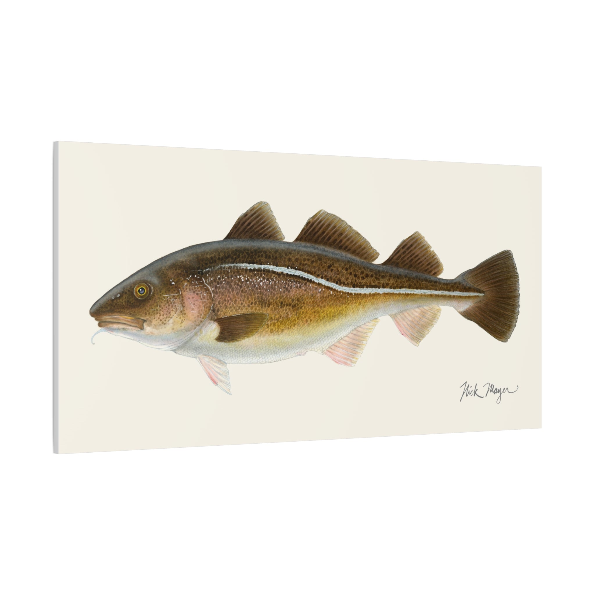 Cod Canvas Print