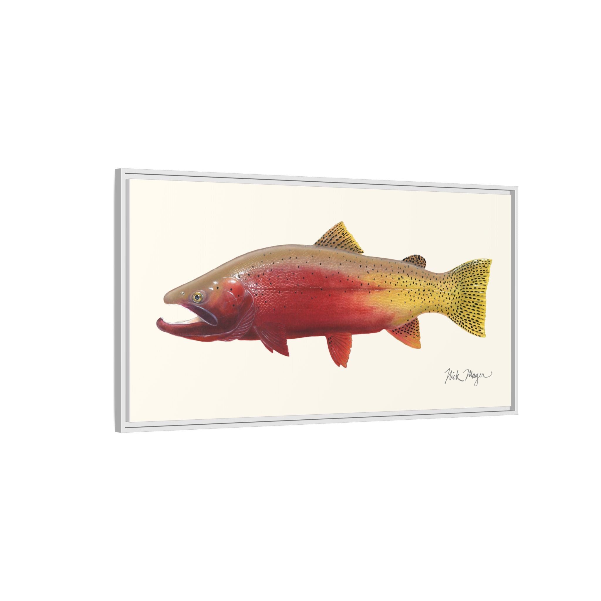 Cutthroat Trout II Framed Canvas Print Printify