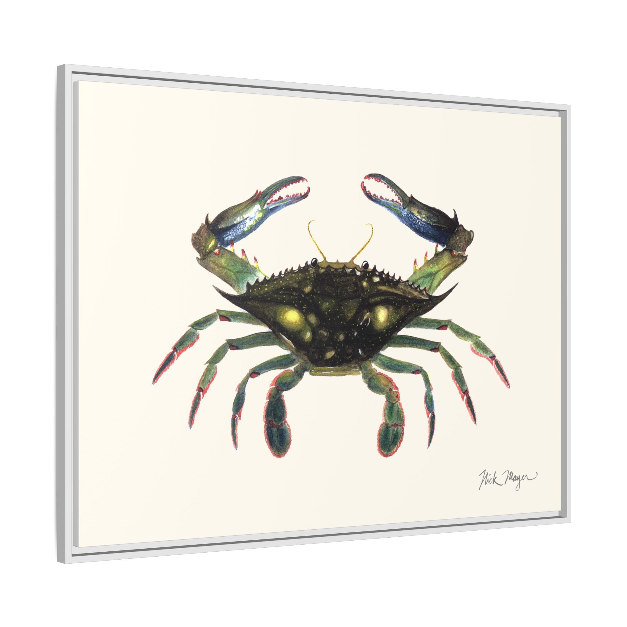 Blue Crab, Claws in Framed Canvas Print Printify