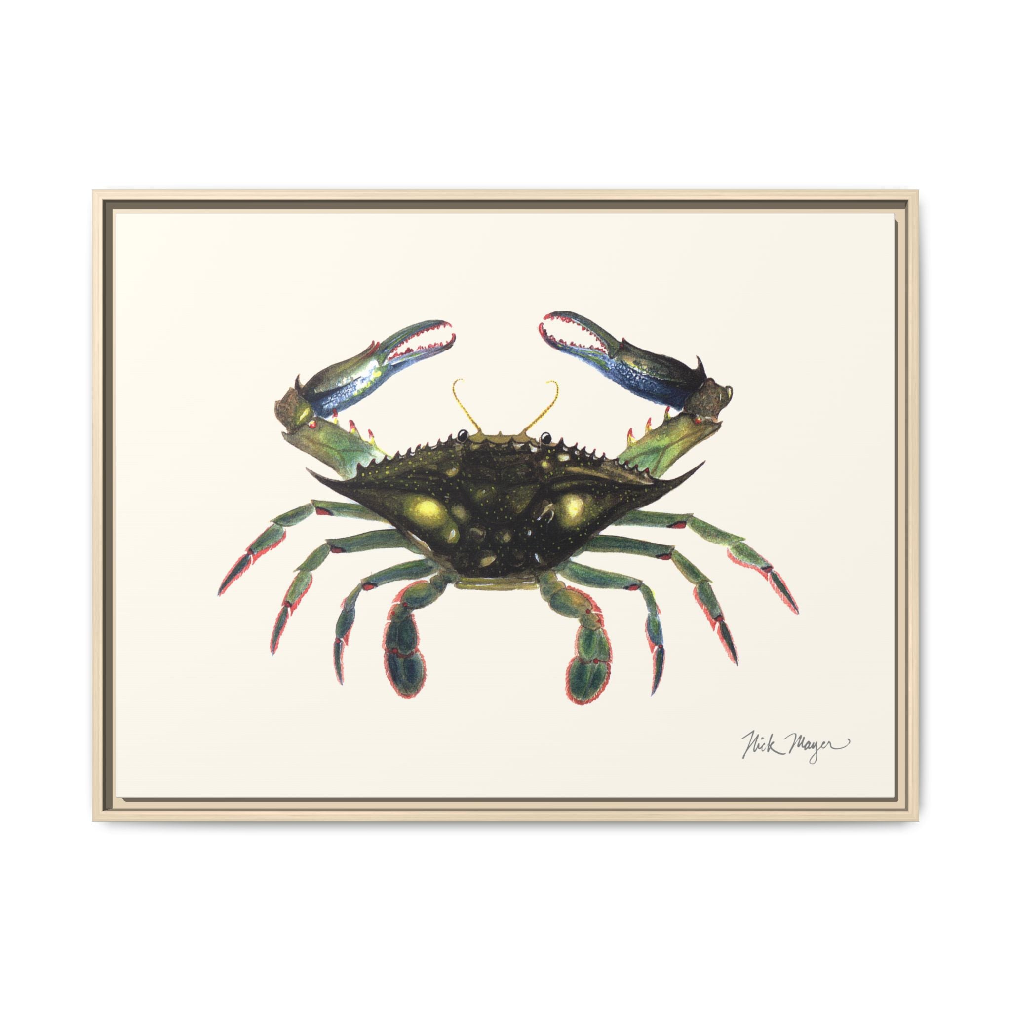 Blue Crab, Claws in Framed Canvas Print Printify