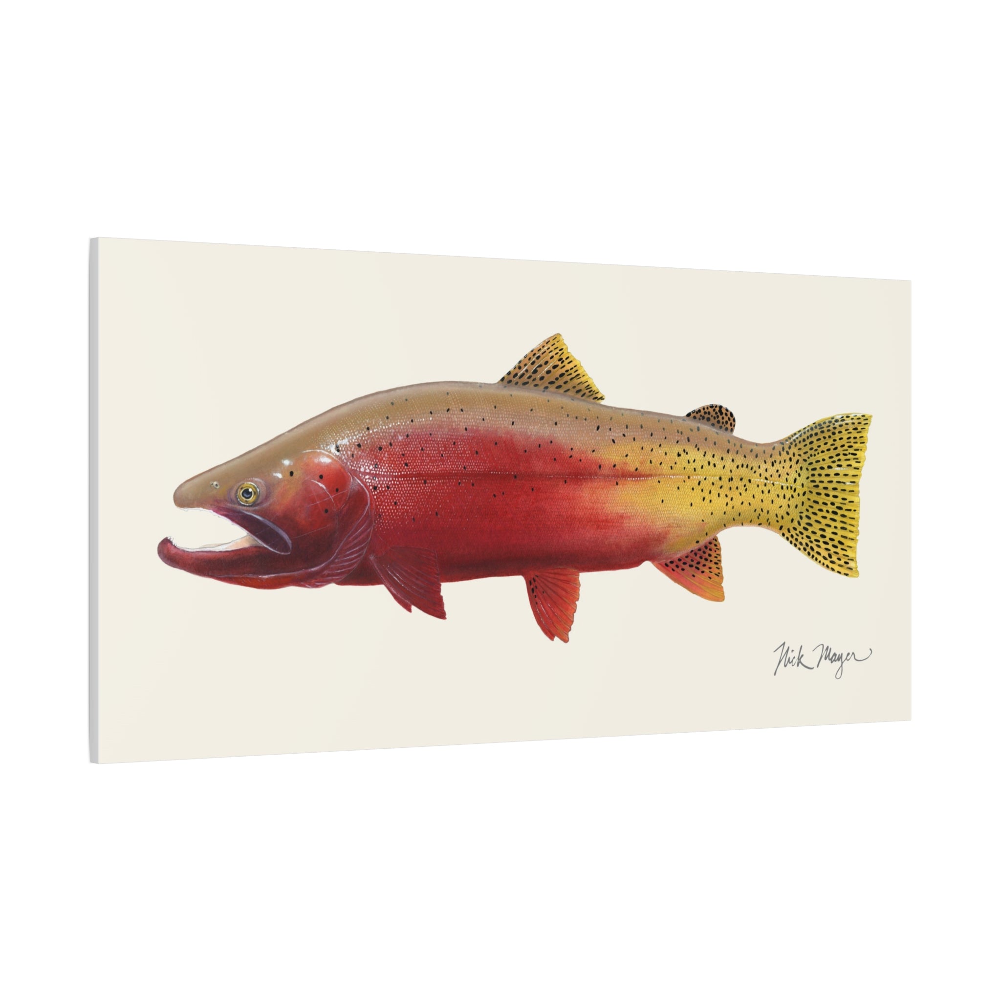 Cutthroat Trout II Canvas Print Printify
