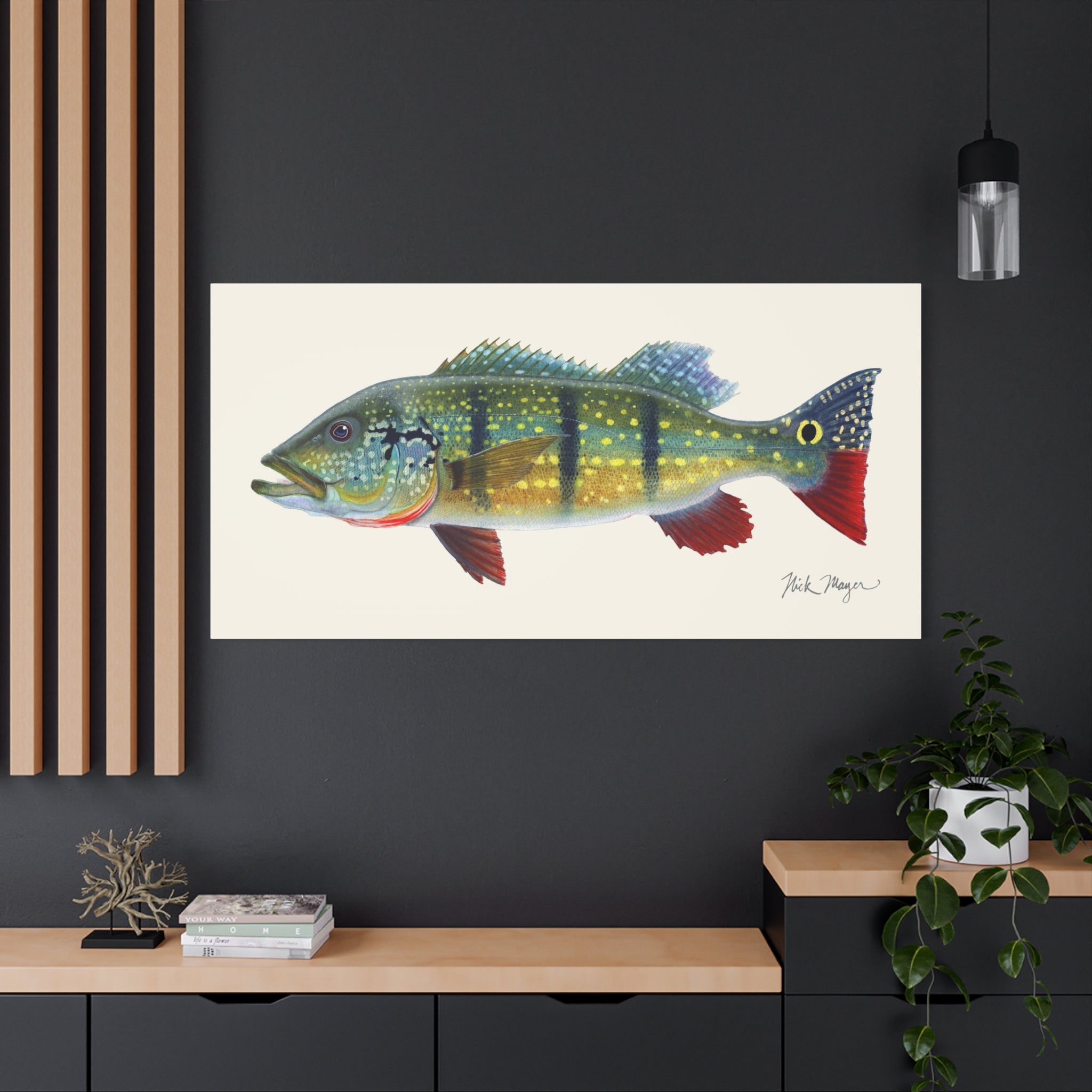 Peacock Bass Canvas Print