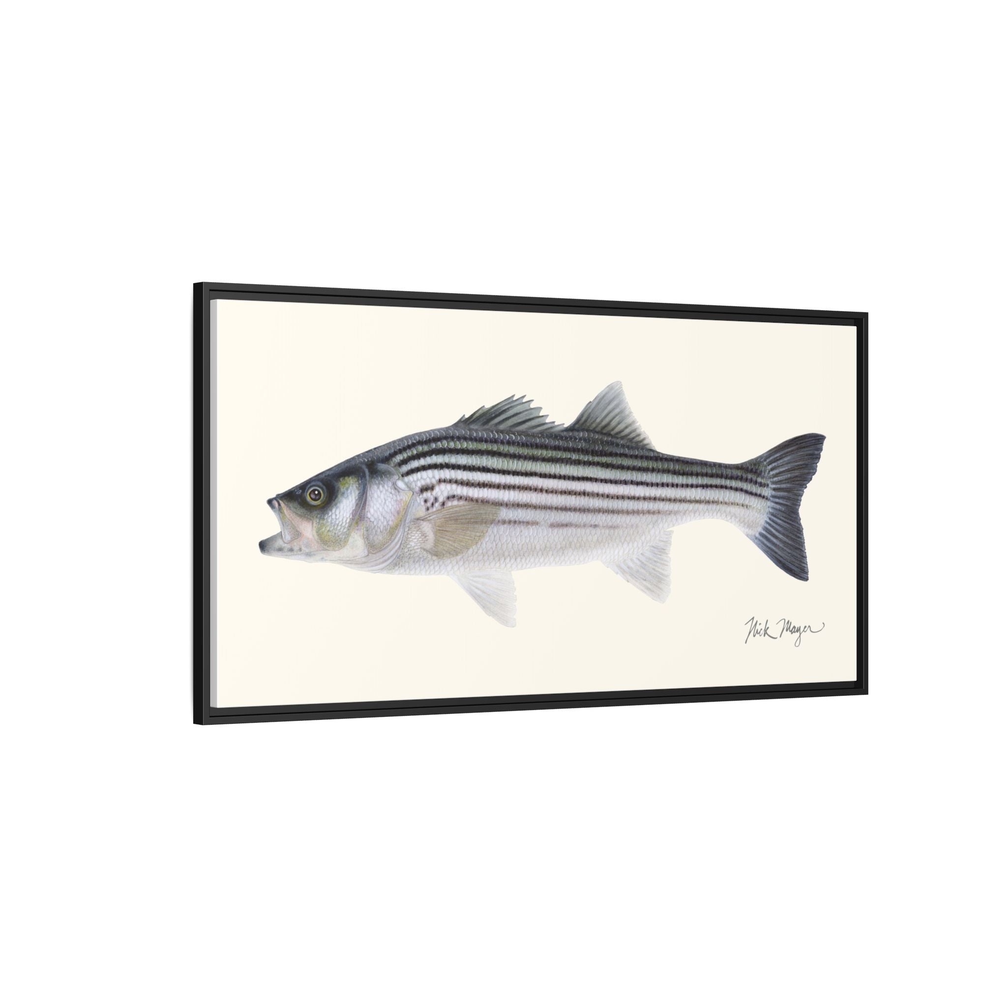 Schoolie Striped Bass Framed Canvas Print Printify