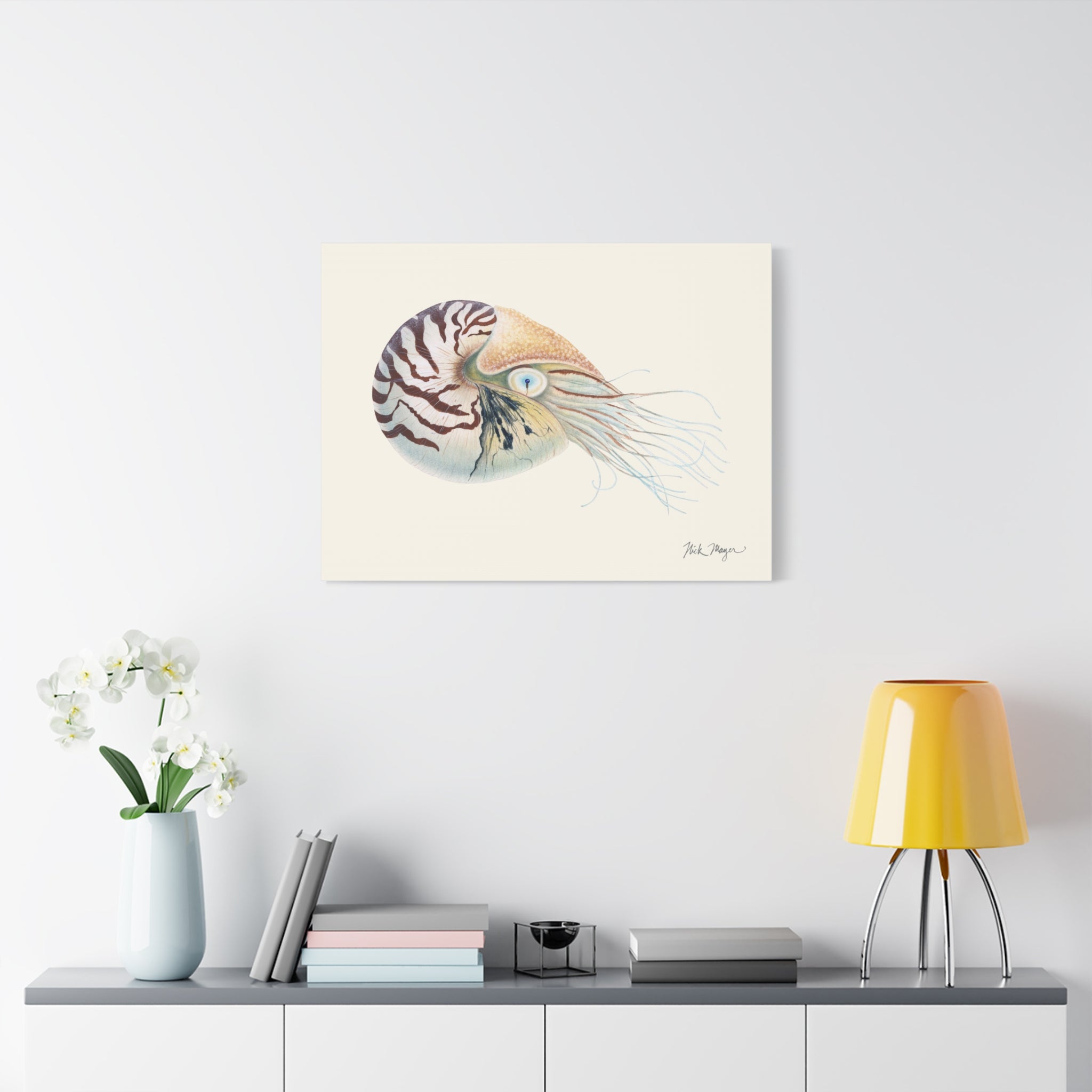 Chambered Nautilus Canvas Print