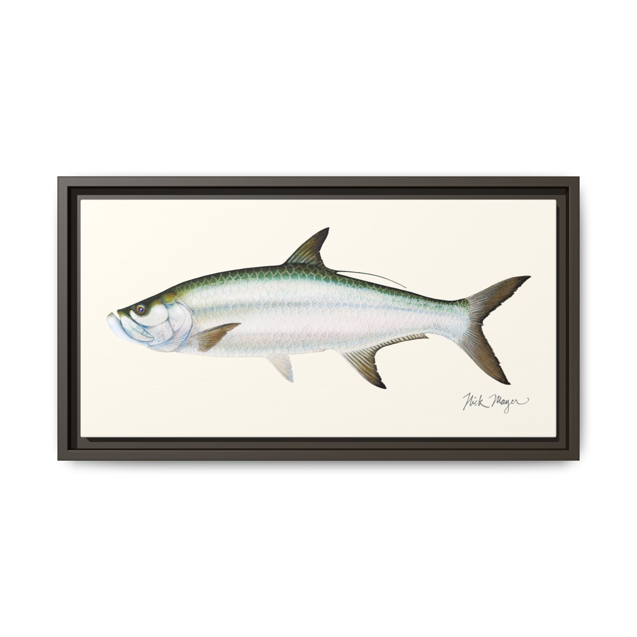 Tarpon Framed Canvas Print Printify
