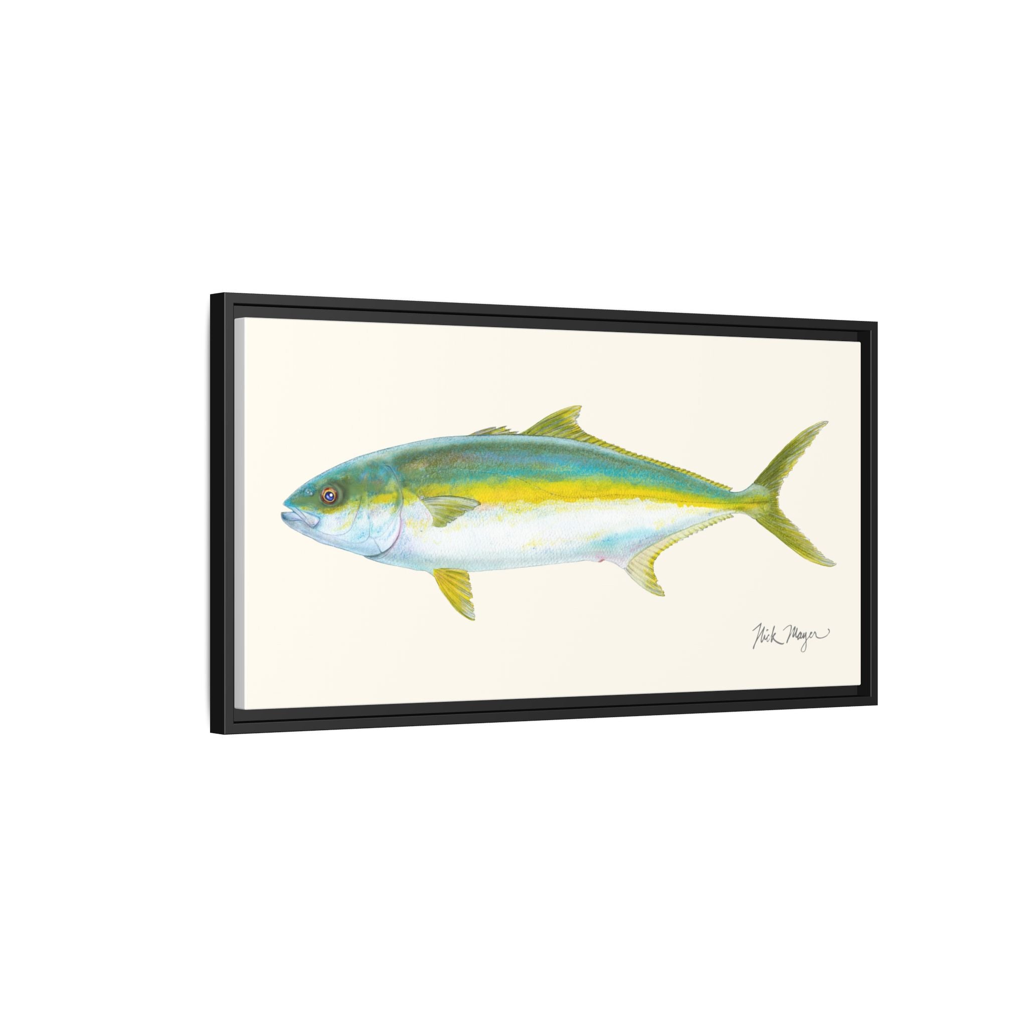 California Yellowtail I Framed Canvas Print Printify
