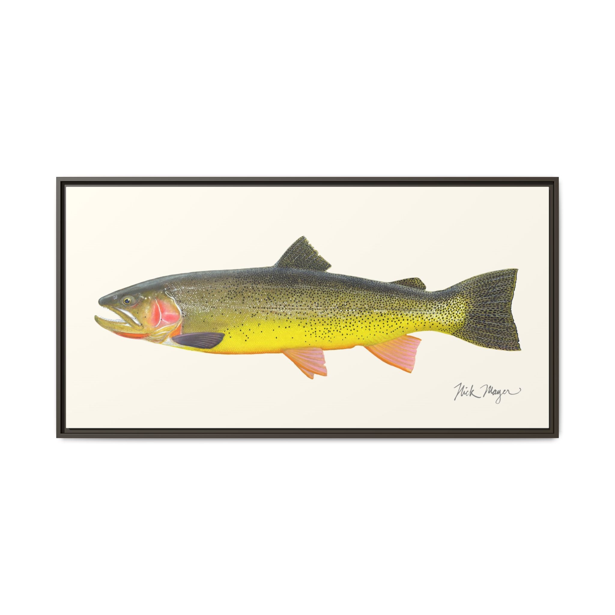 Cutthroat Trout III Framed Canvas Print Printify