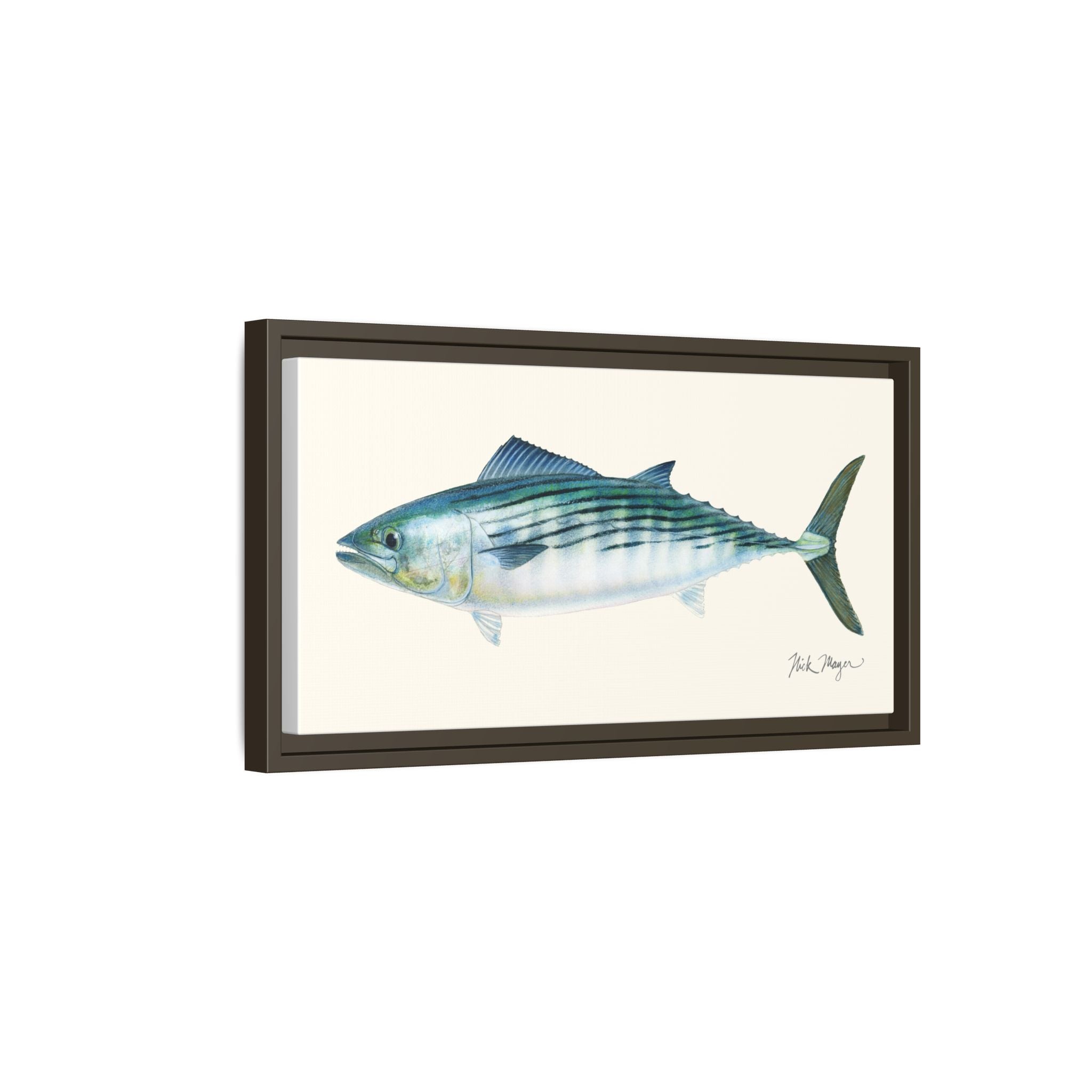 Bonito Framed Canvas Print Printify