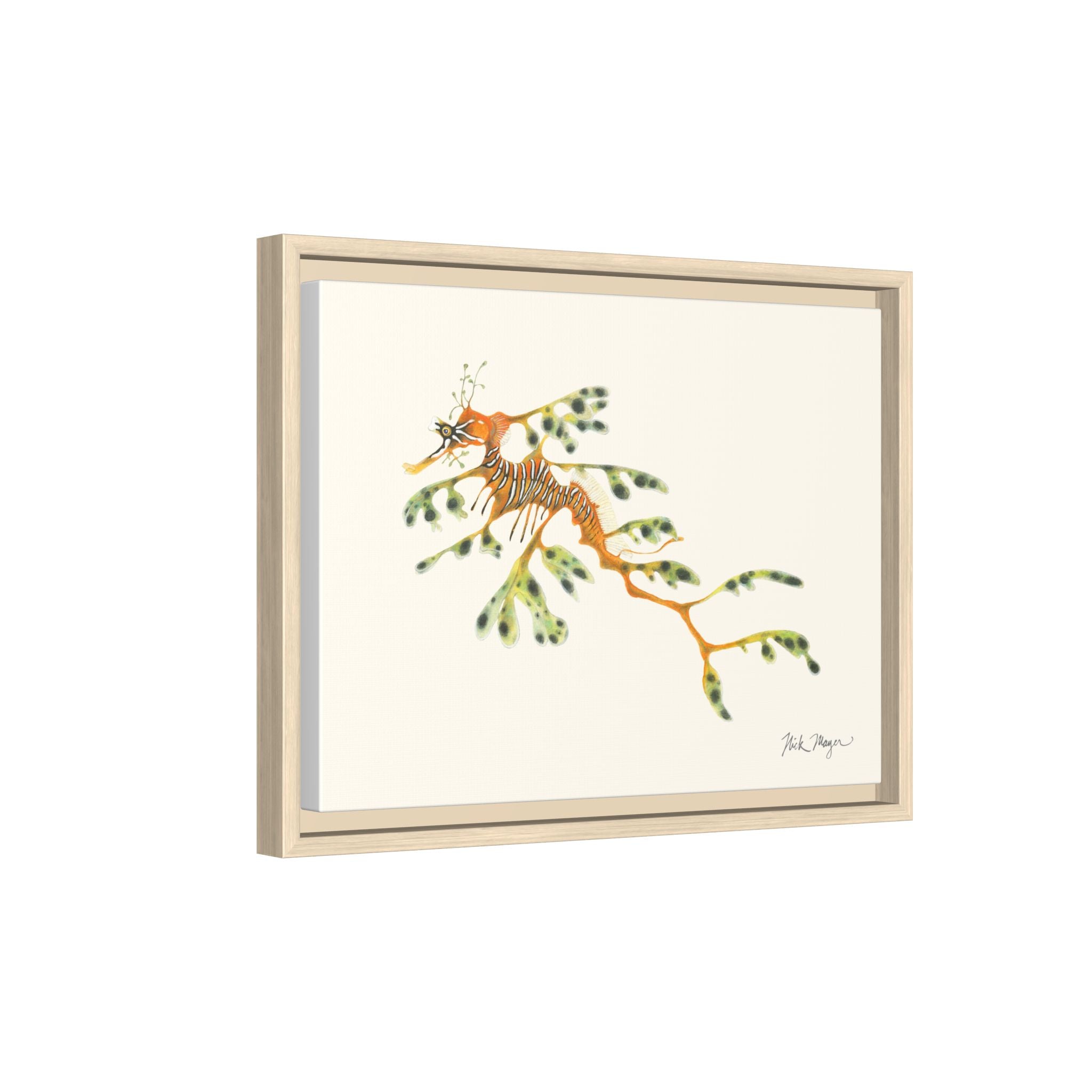 Leafy Sea Dragon Framed Canvas Print Printify