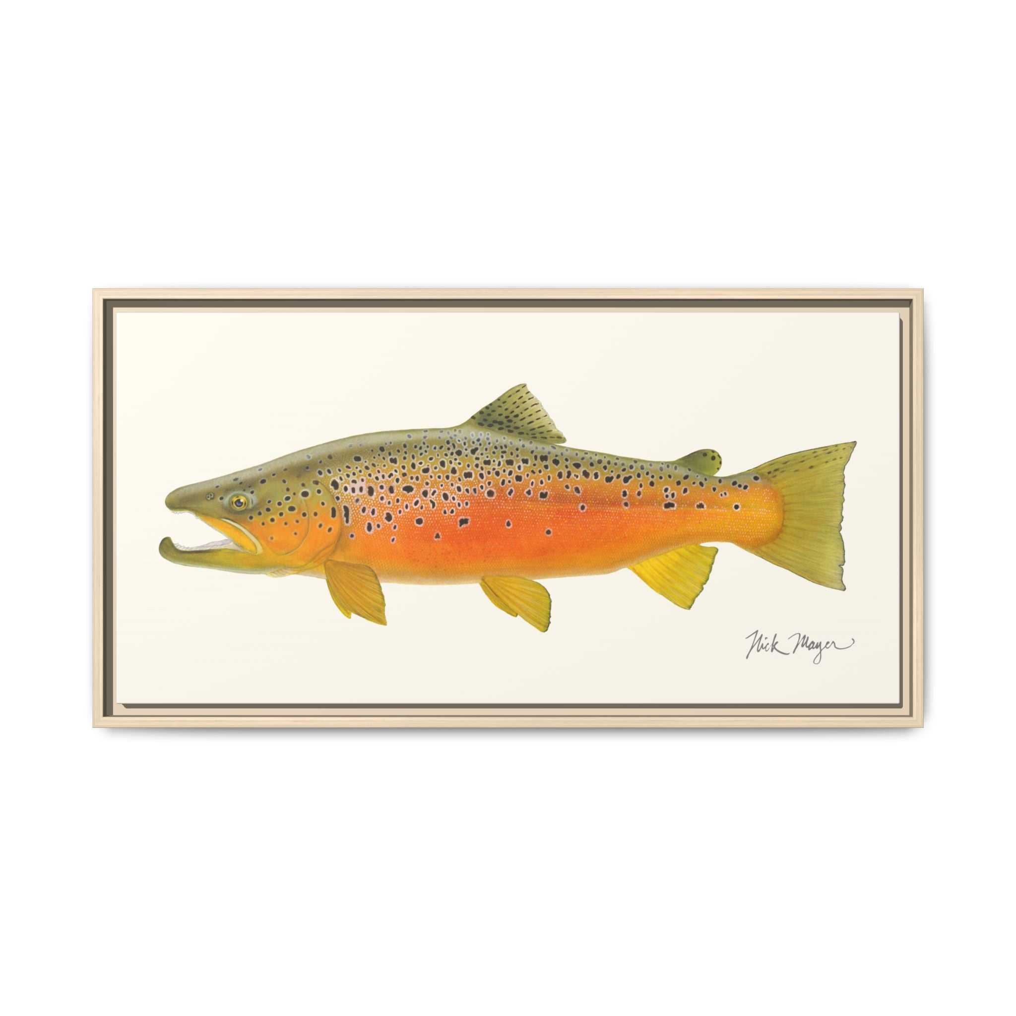 Brown Trout II Framed Canvas Print Printify