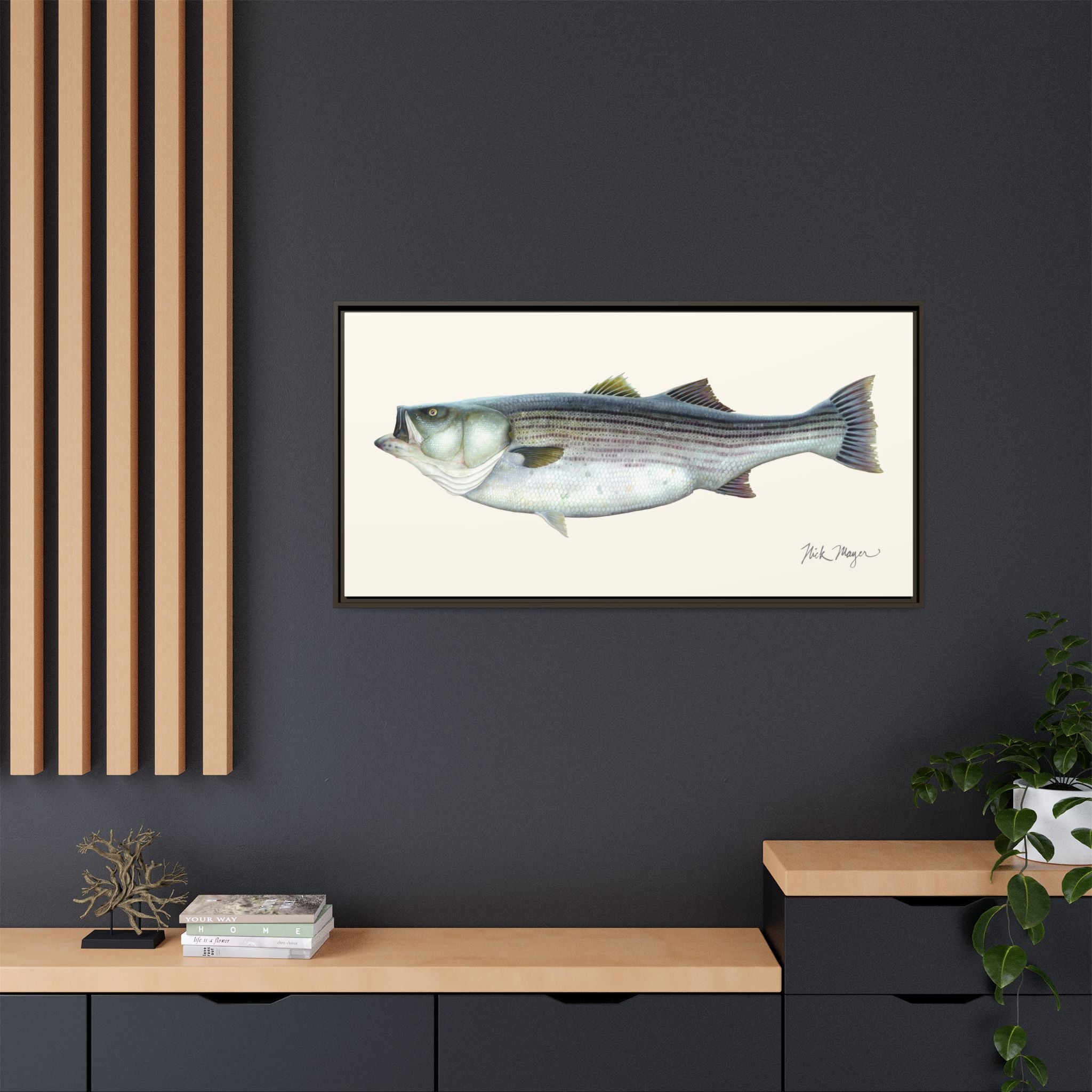 Striped Bass, 60 lbs Framed Canvas Print Printify