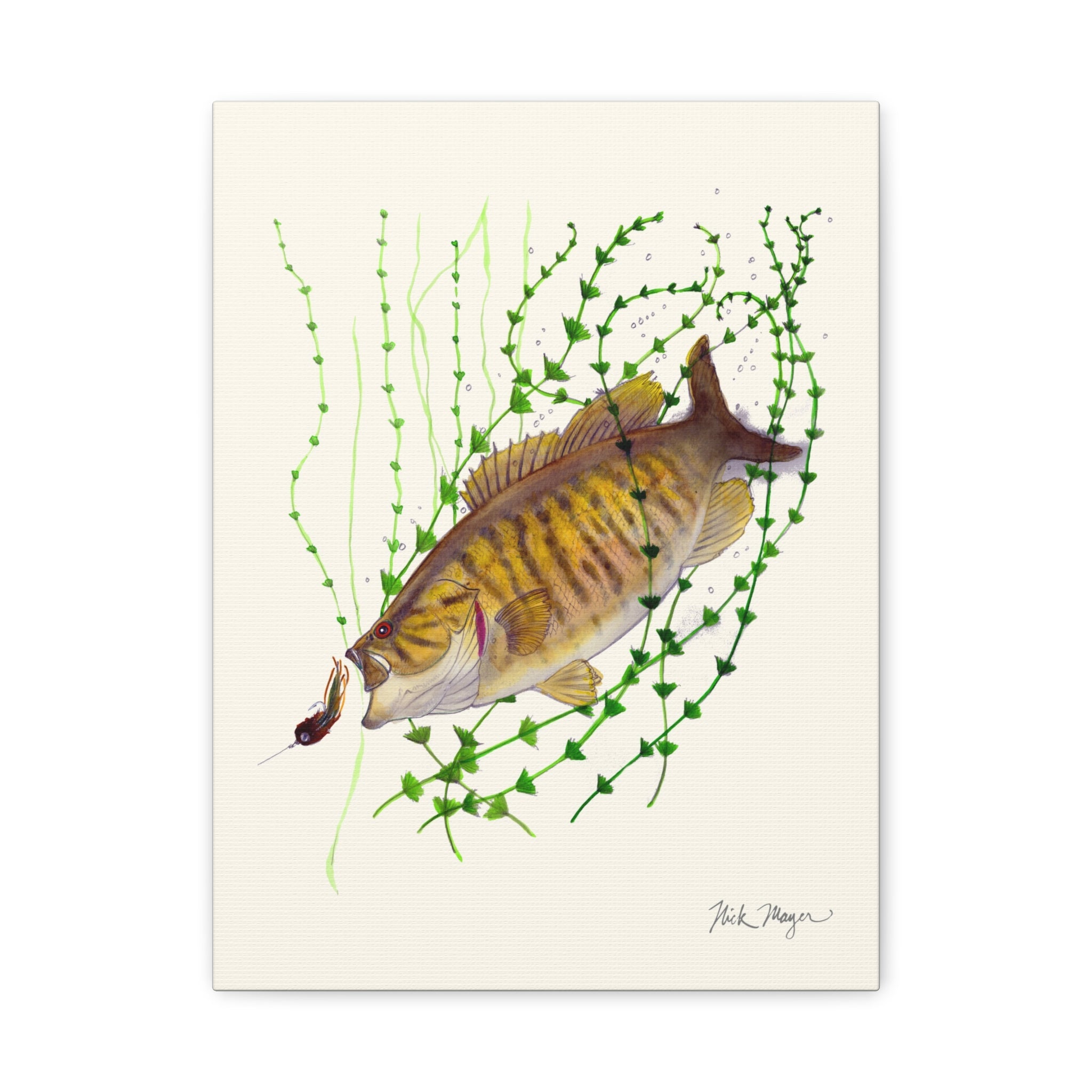 Bronzeback Smallmouth Bass Canvas Print