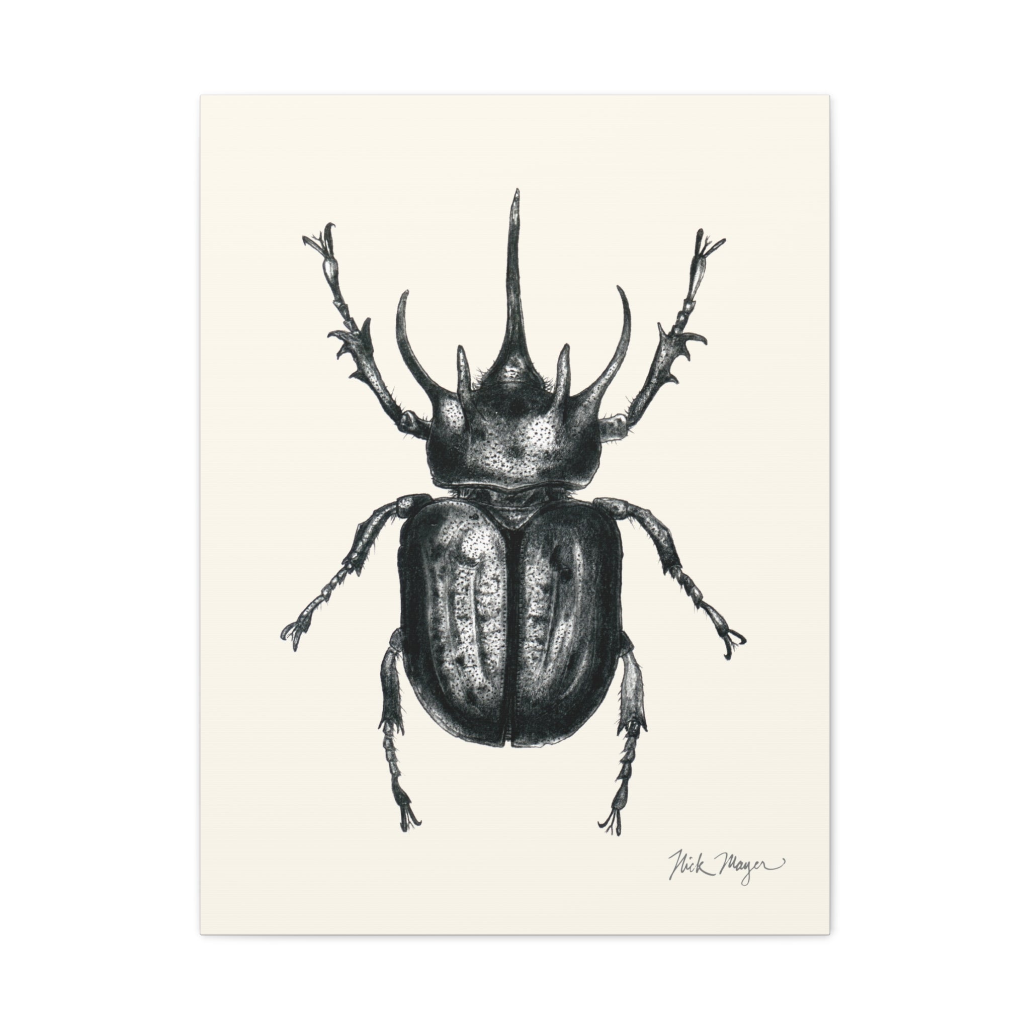 Rhinoceros Beetle Canvas Print
