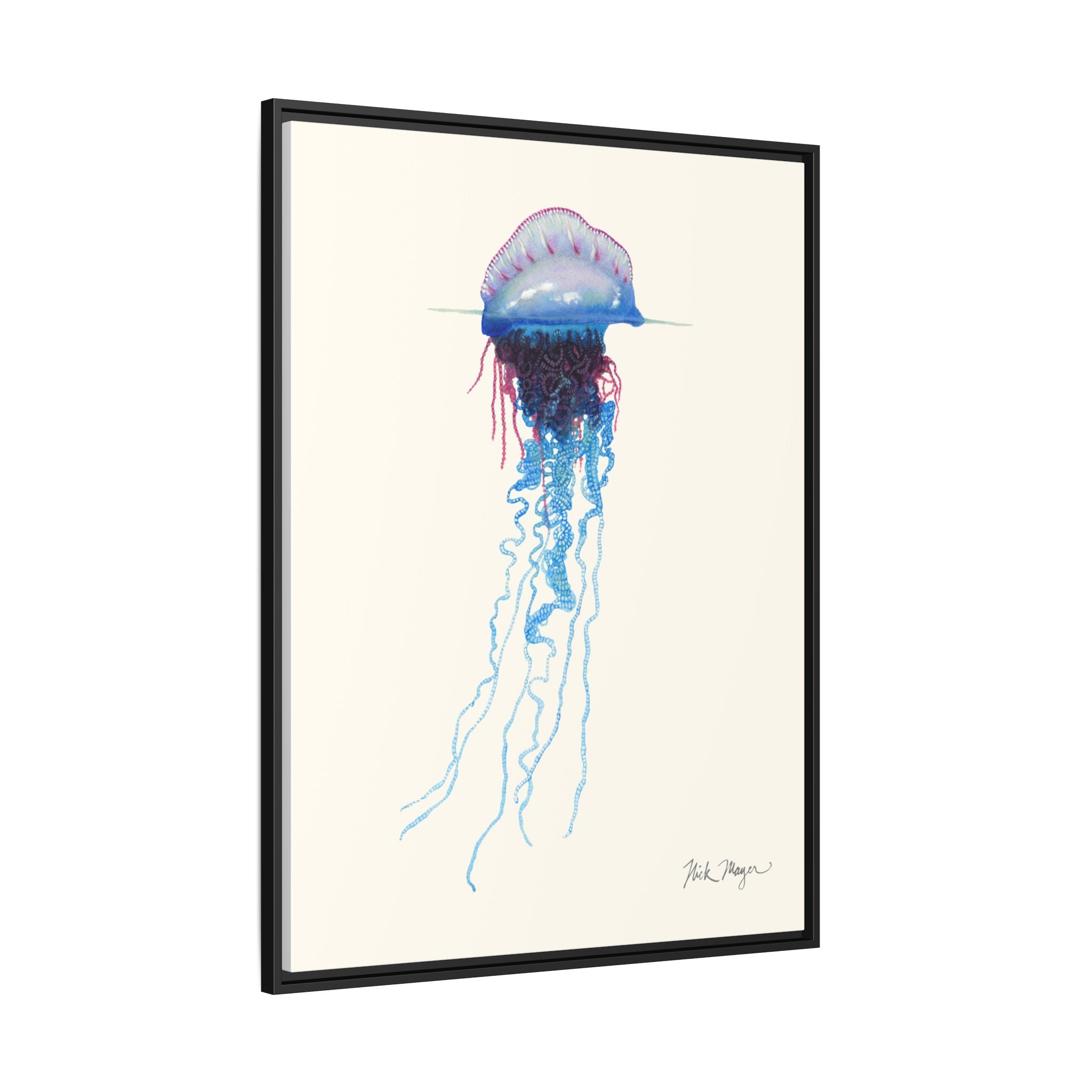 Portuguese Man O' War Framed Canvas Print Printify
