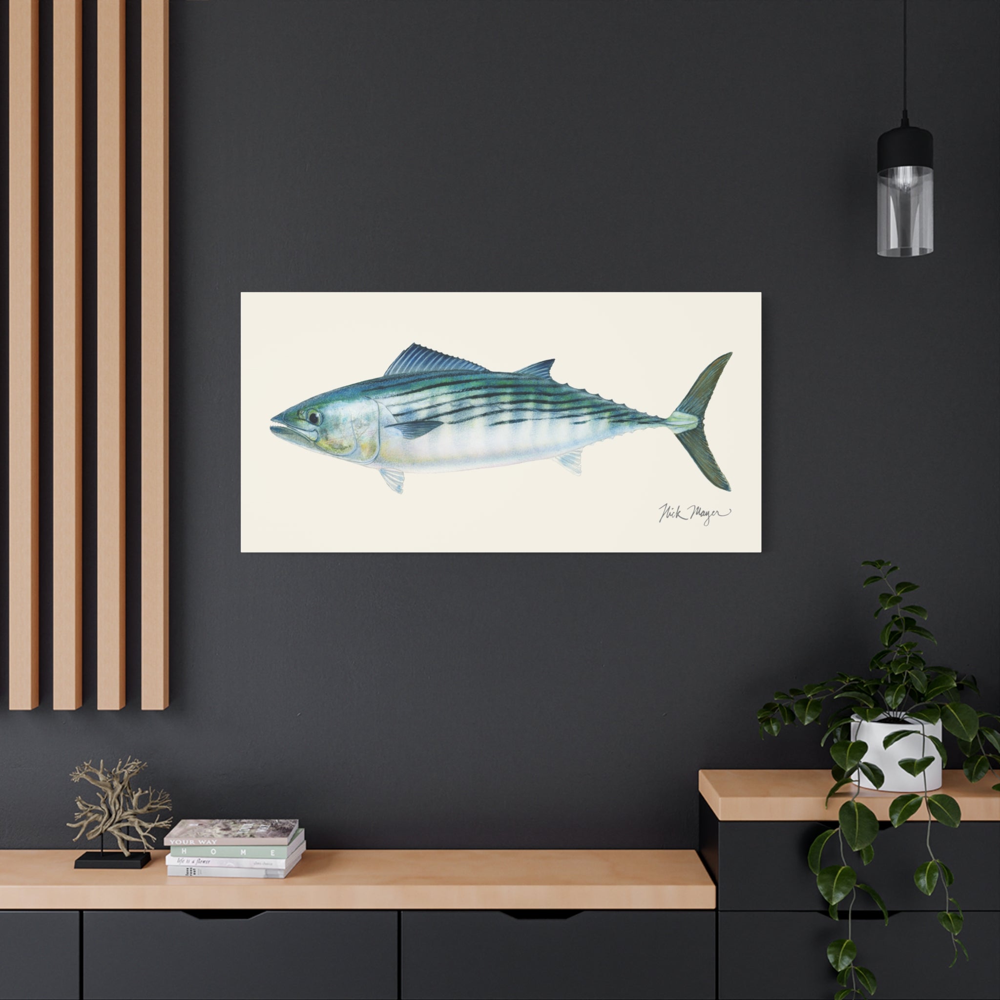 Bonito Canvas Print