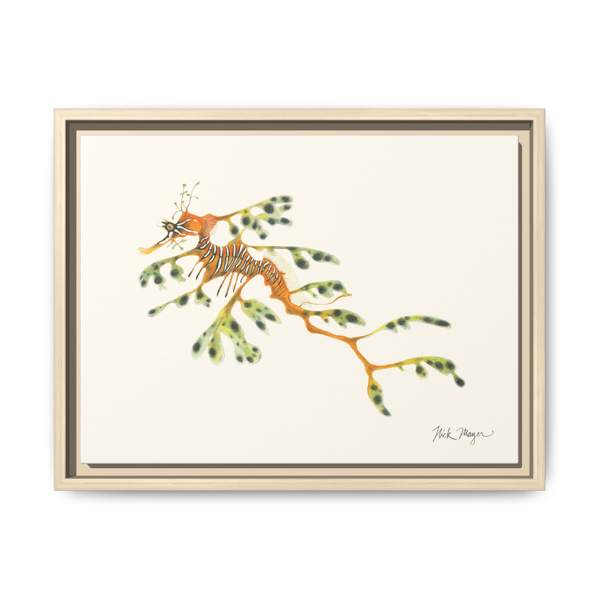 Leafy Sea Dragon Framed Canvas Print Printify