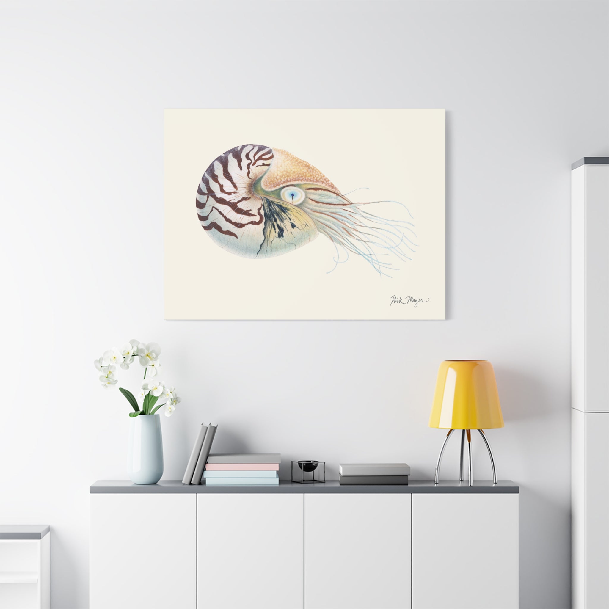 Chambered Nautilus Canvas Print