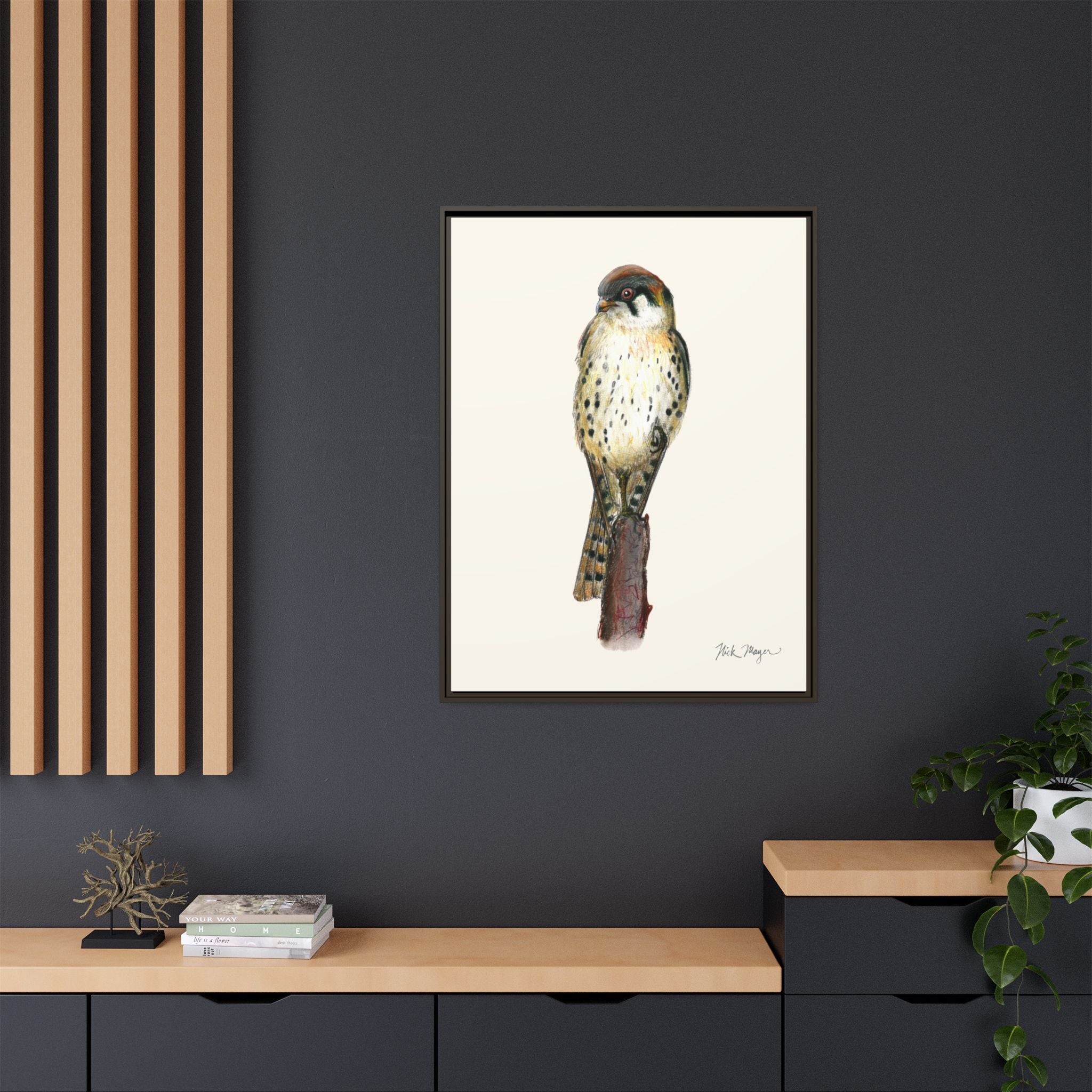 American Kestrel Framed Canvas Print Printify