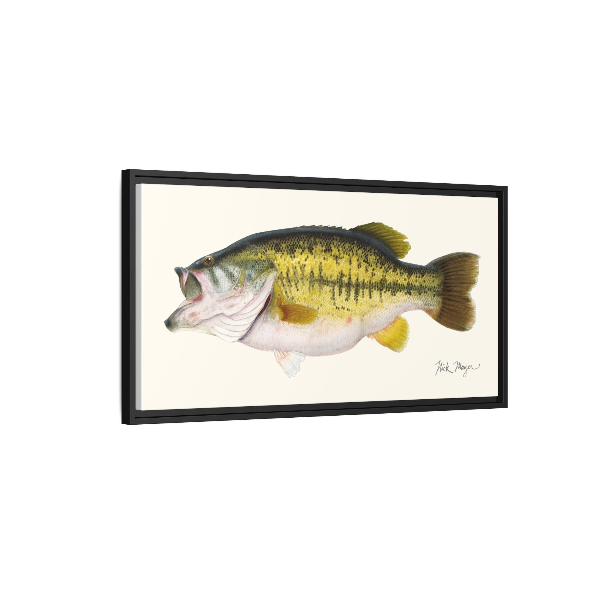 Largemouth Bass II Framed Canvas Print