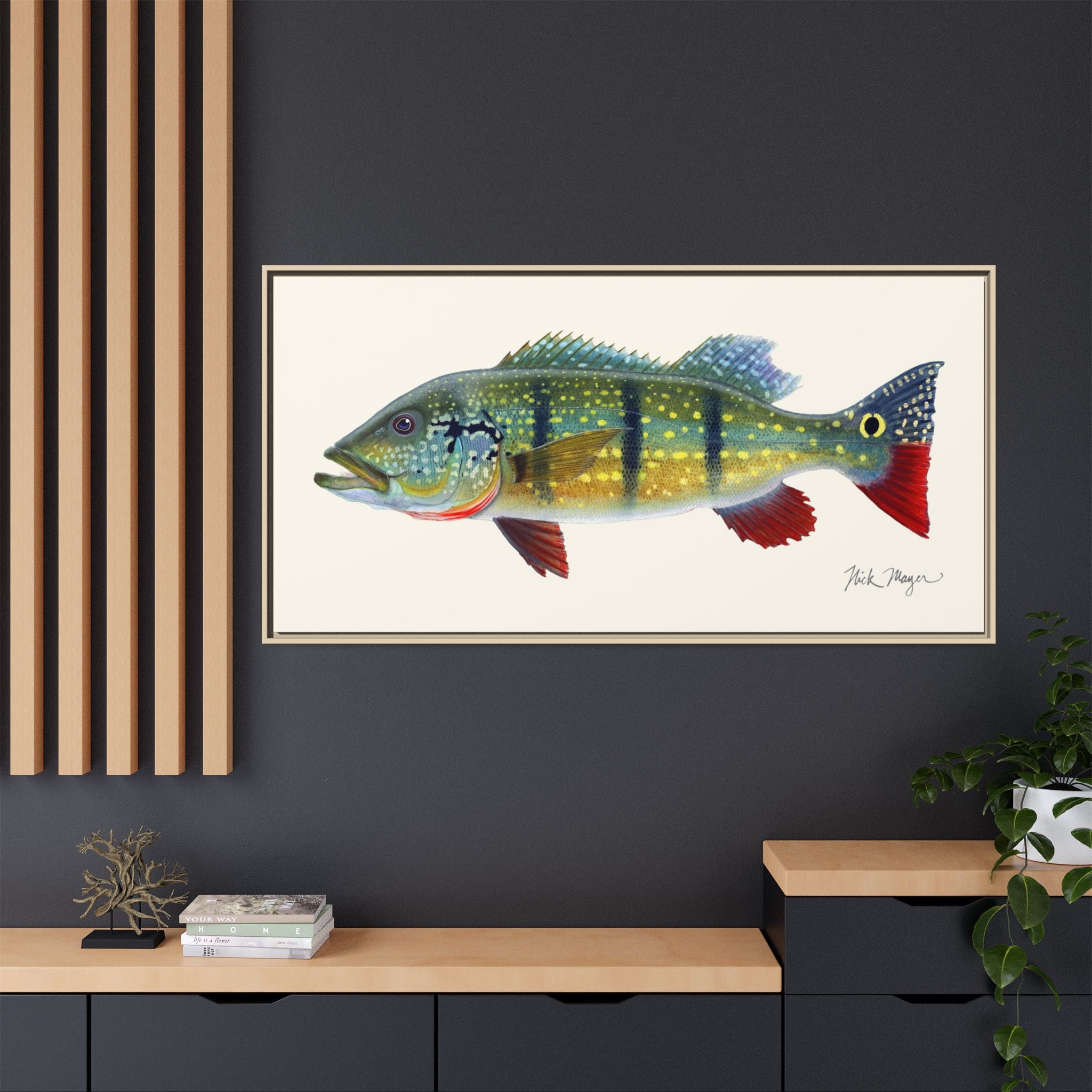 Peacock Bass Framed Canvas Print Printify
