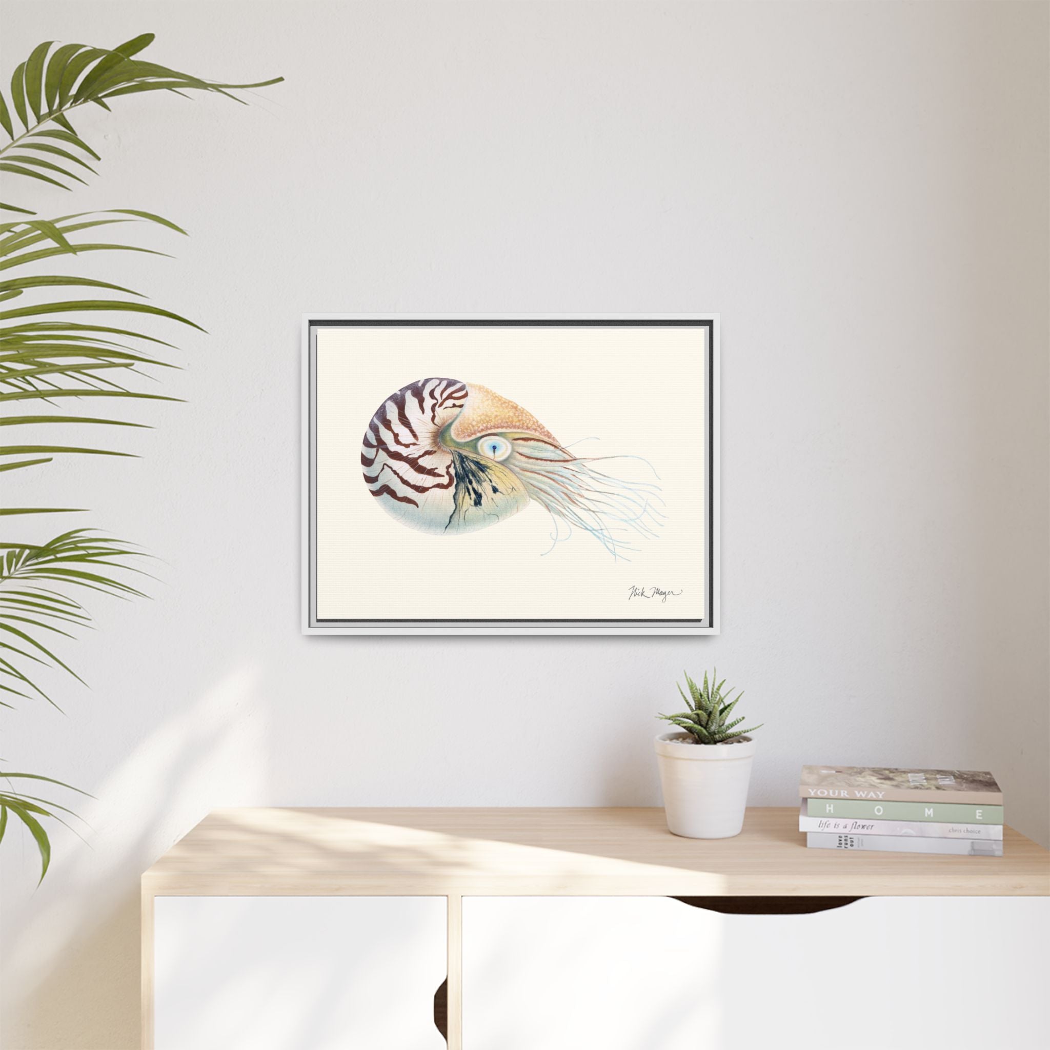 Chambered Nautilus Framed Canvas Print Printify