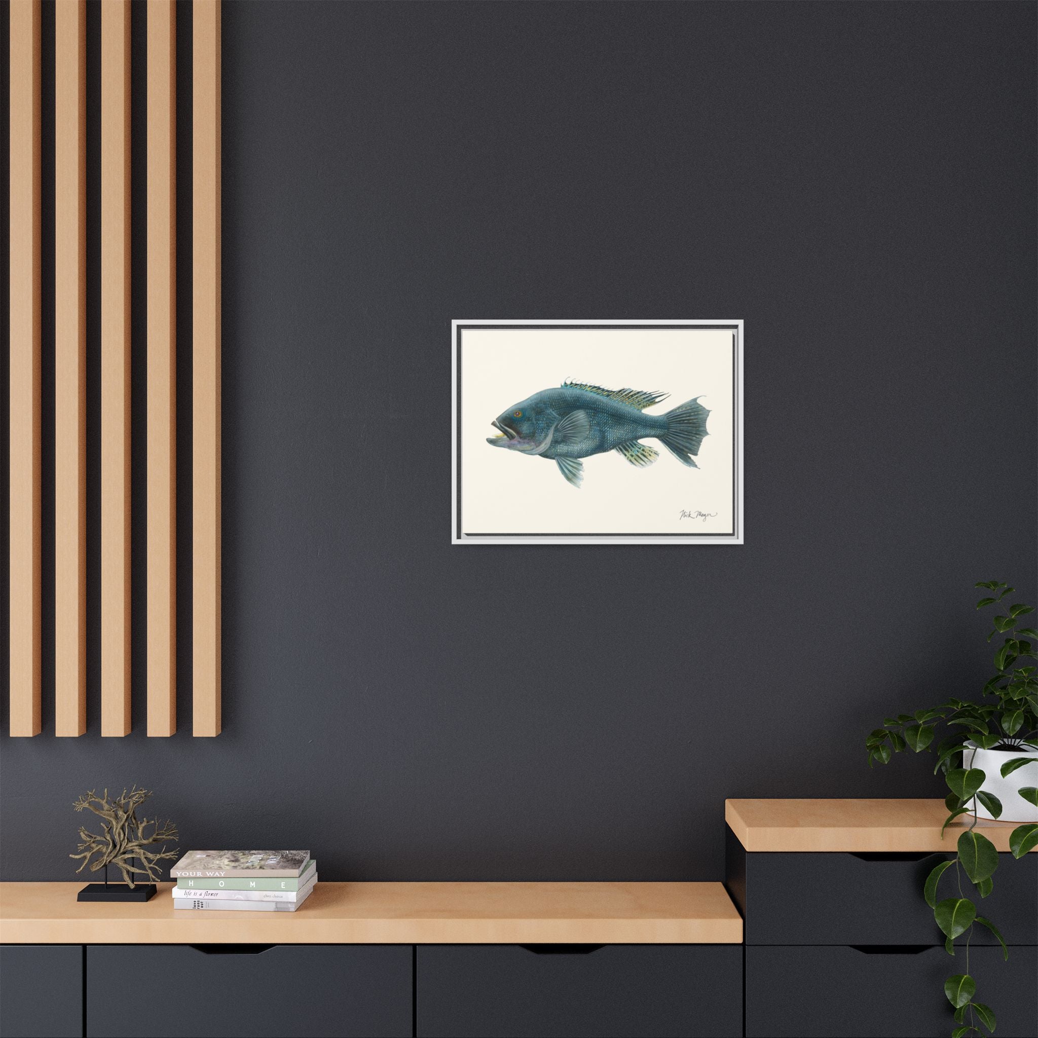 Black Sea Bass Framed Canvas Print Printify