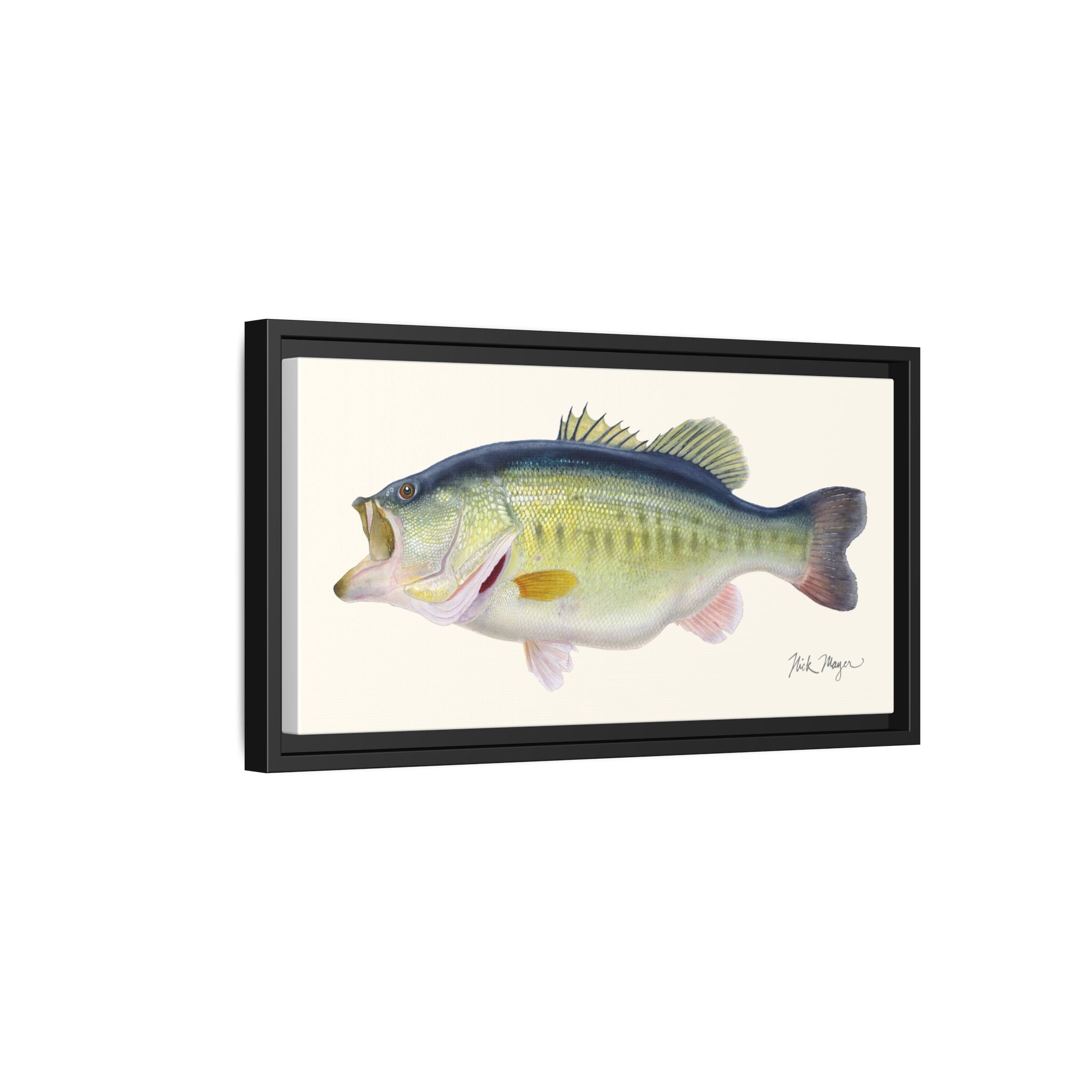 Largemouth Bass 3 Framed Canvas Print