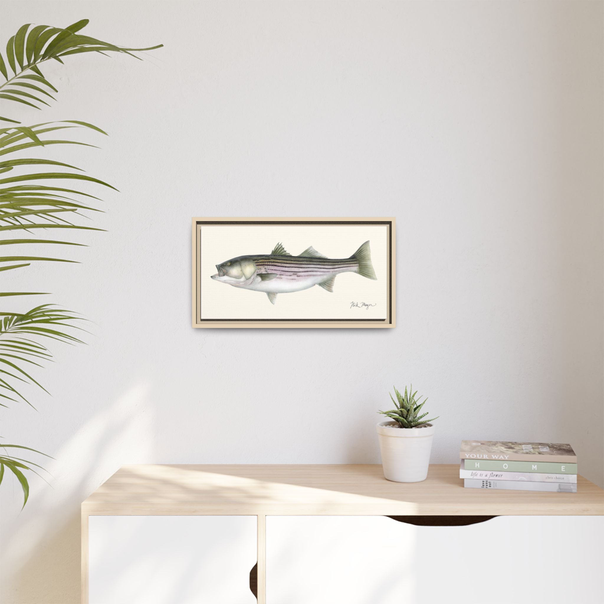 Striped Bass, 30 lbs Framed Canvas Print Printify