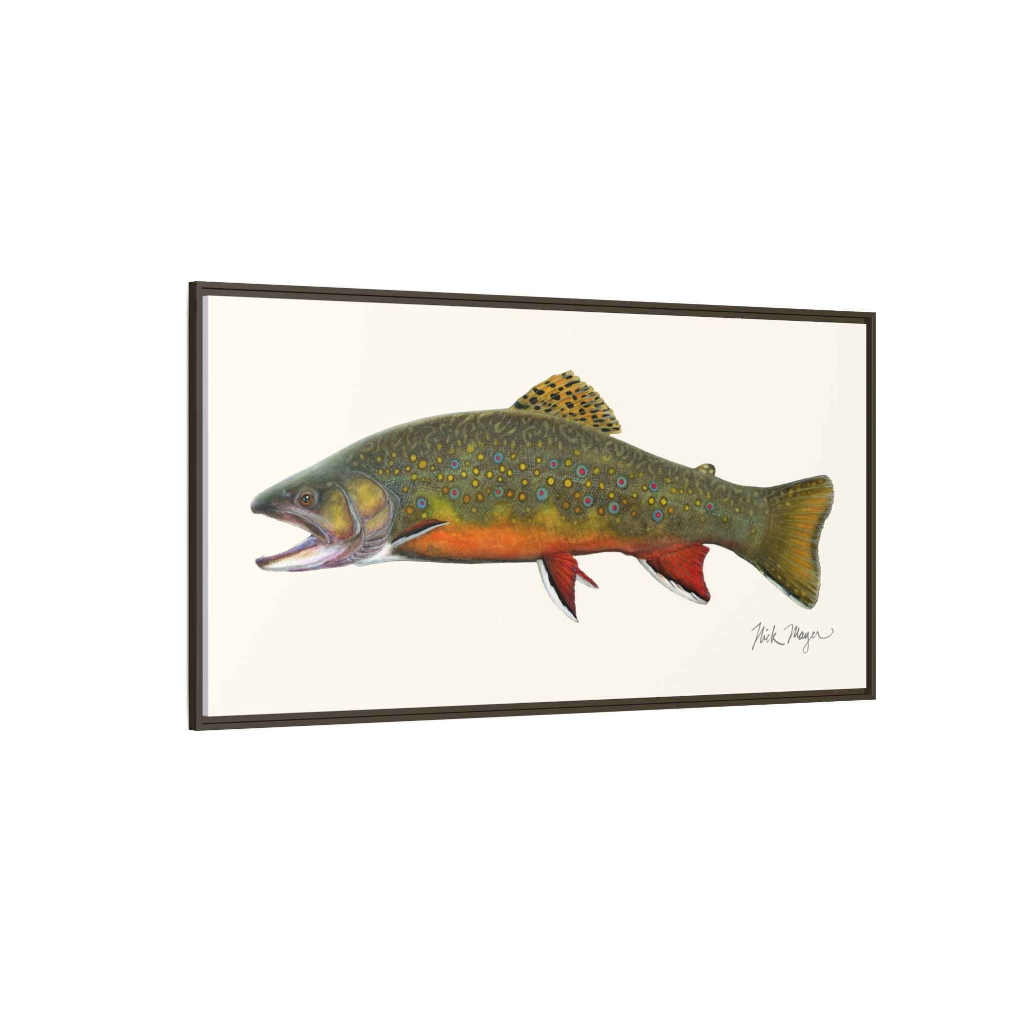 Beaver Pond Brook Trout Framed Canvas Print Printify