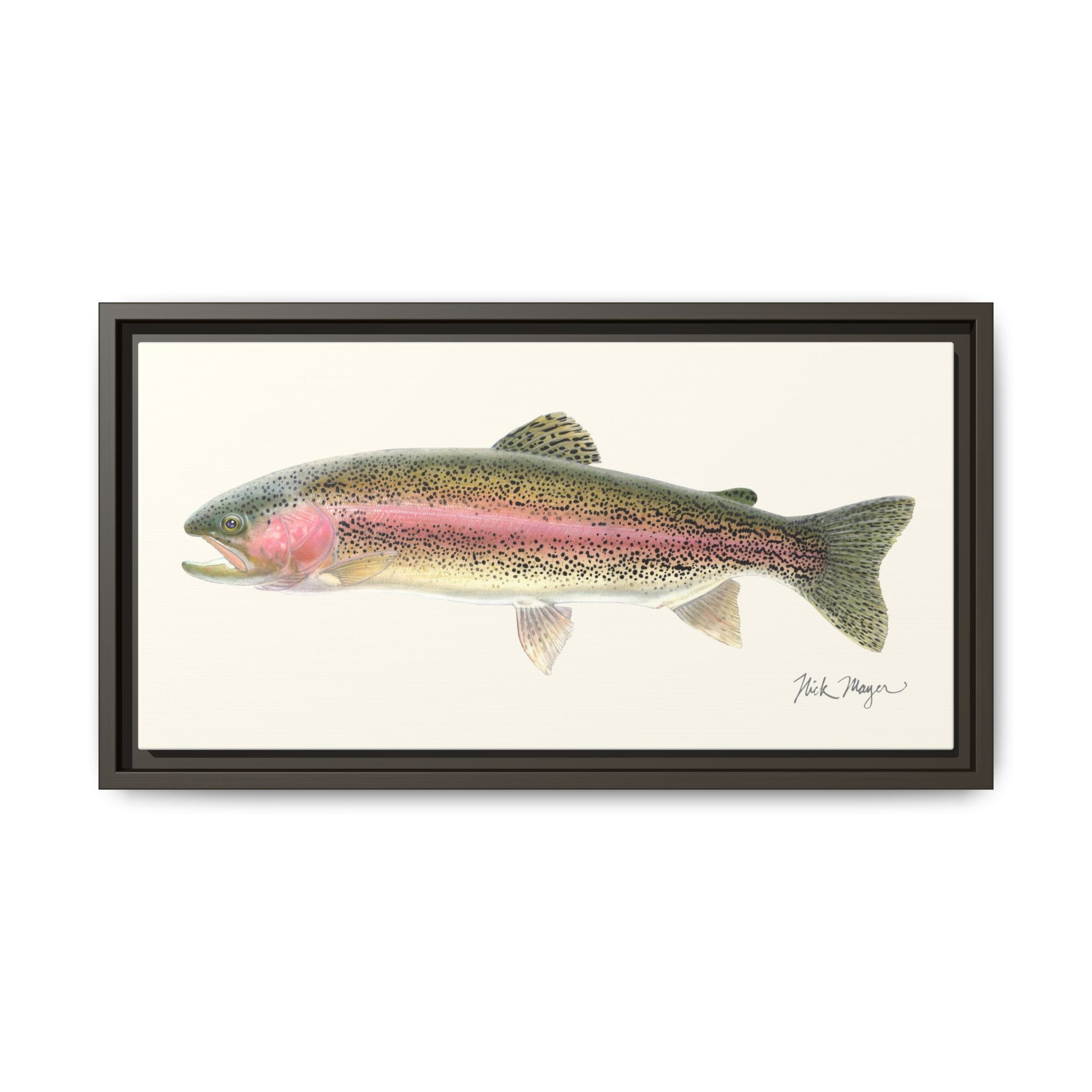 Rainbow Trout Framed Canvas Print Printify