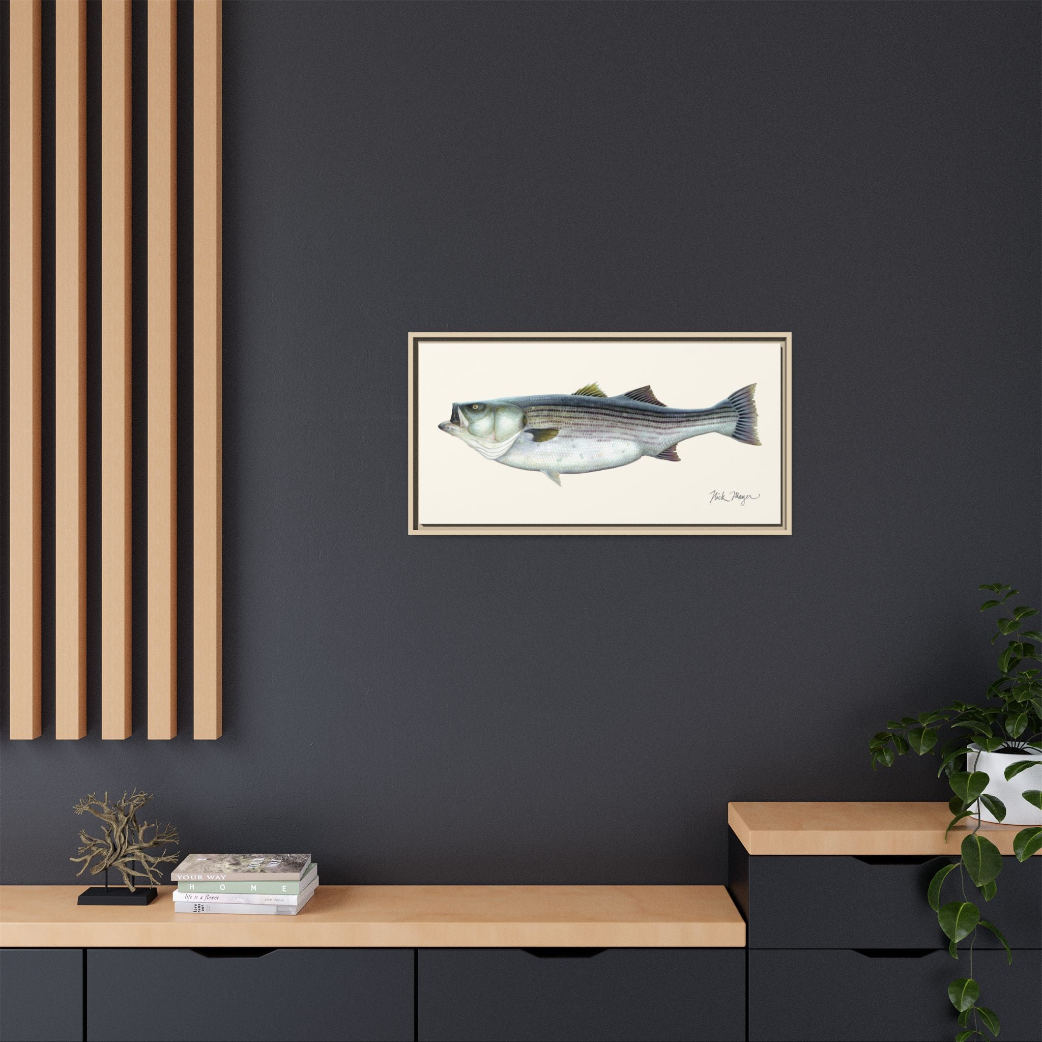 Striped Bass, 60 lbs Framed Canvas Print Printify