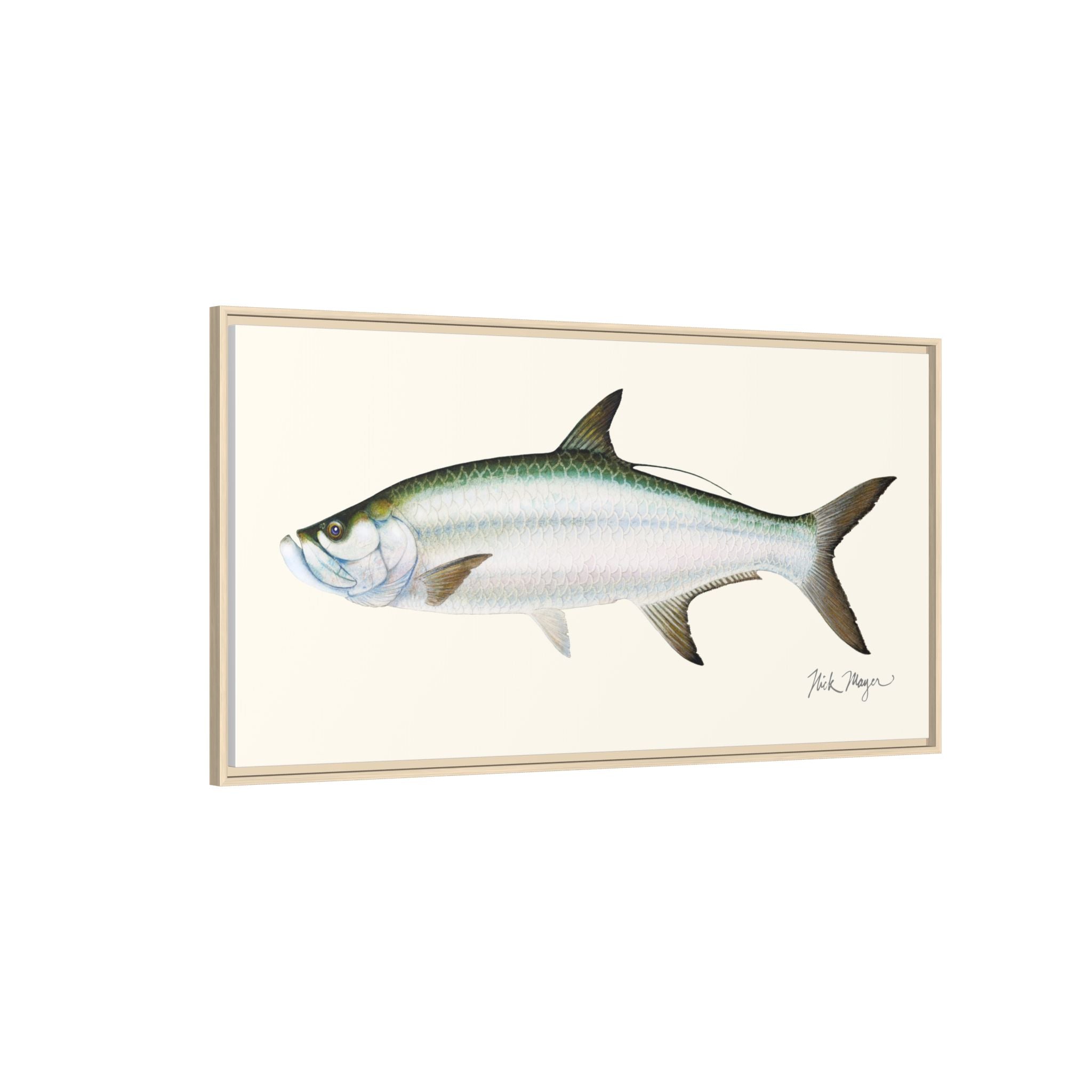 Tarpon Framed Canvas Print Printify