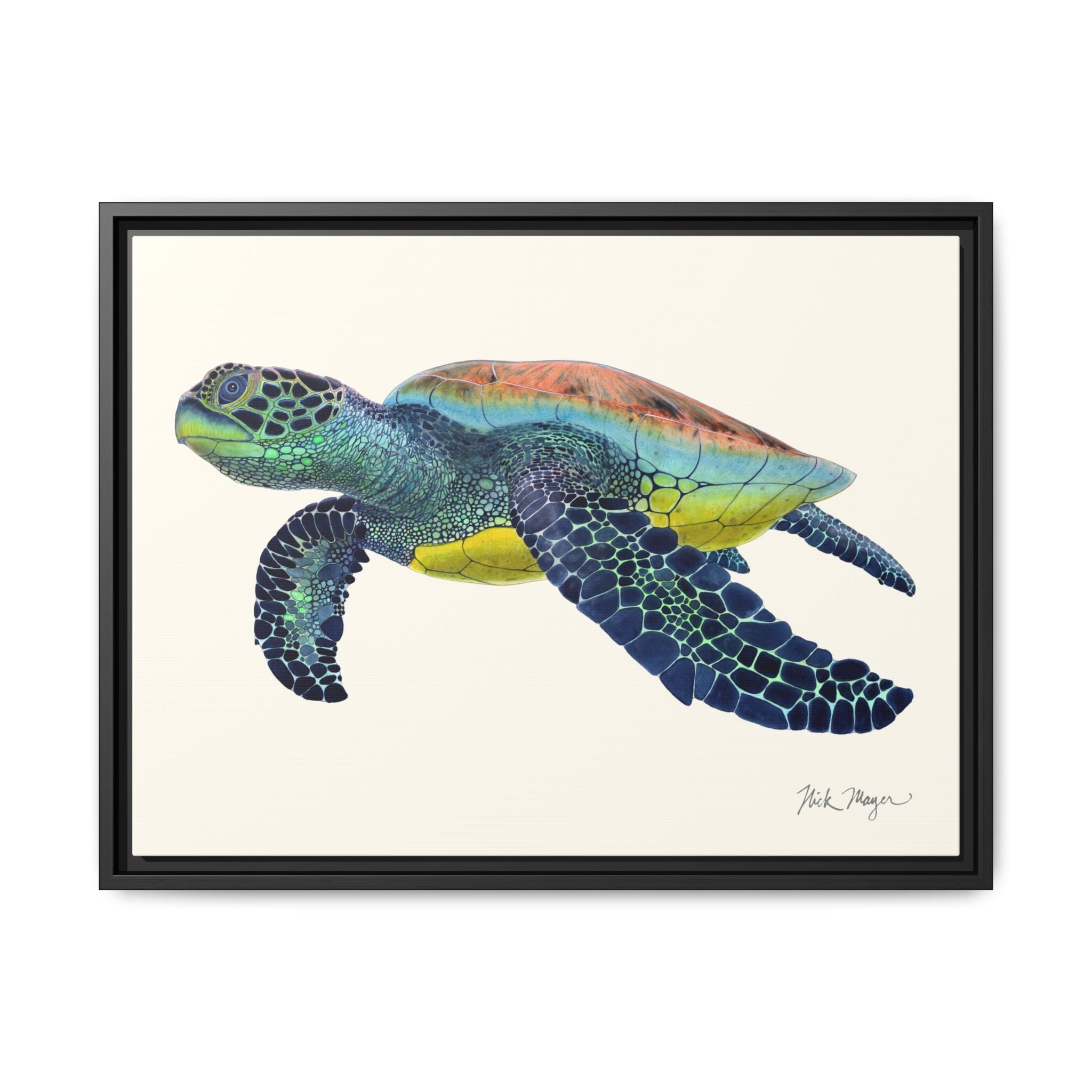 Green Sea Turtle II Framed Canvas Print Printify