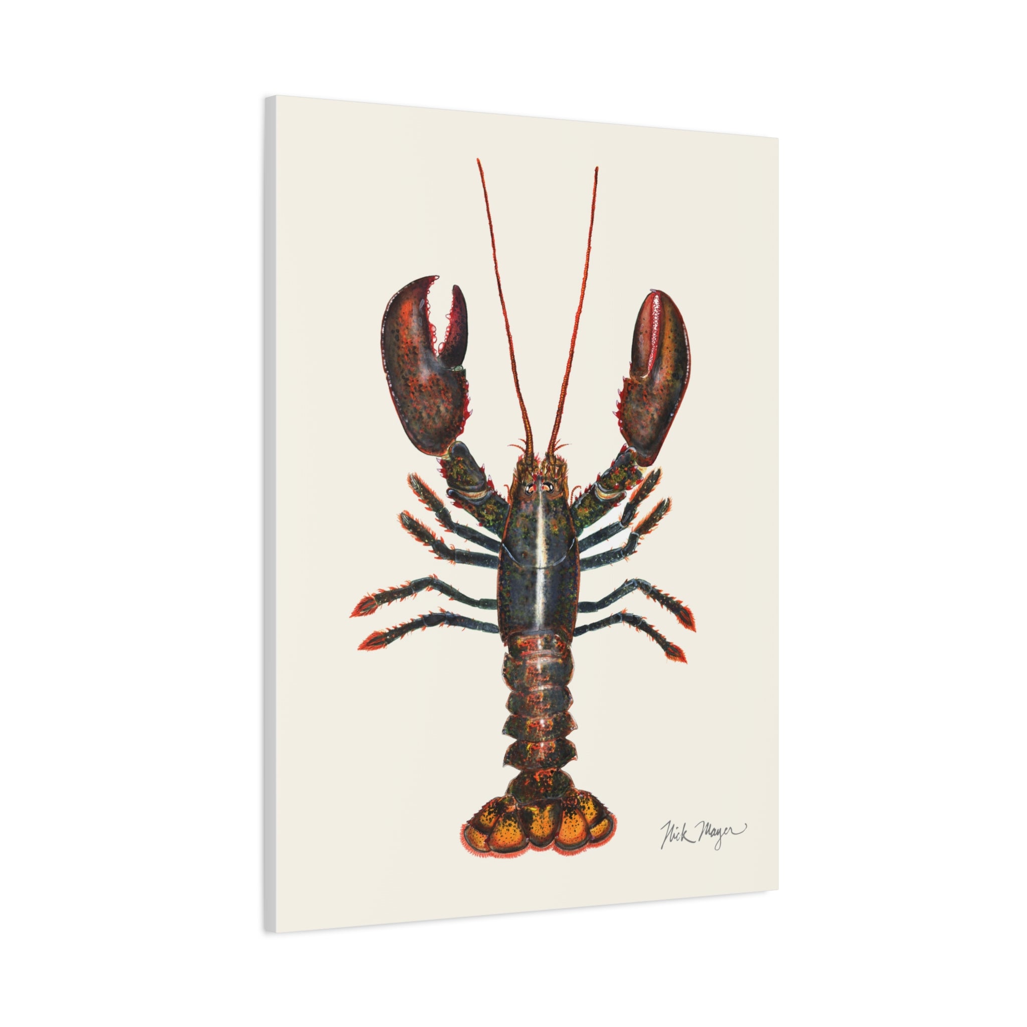 Northern Lobster Canvas Print