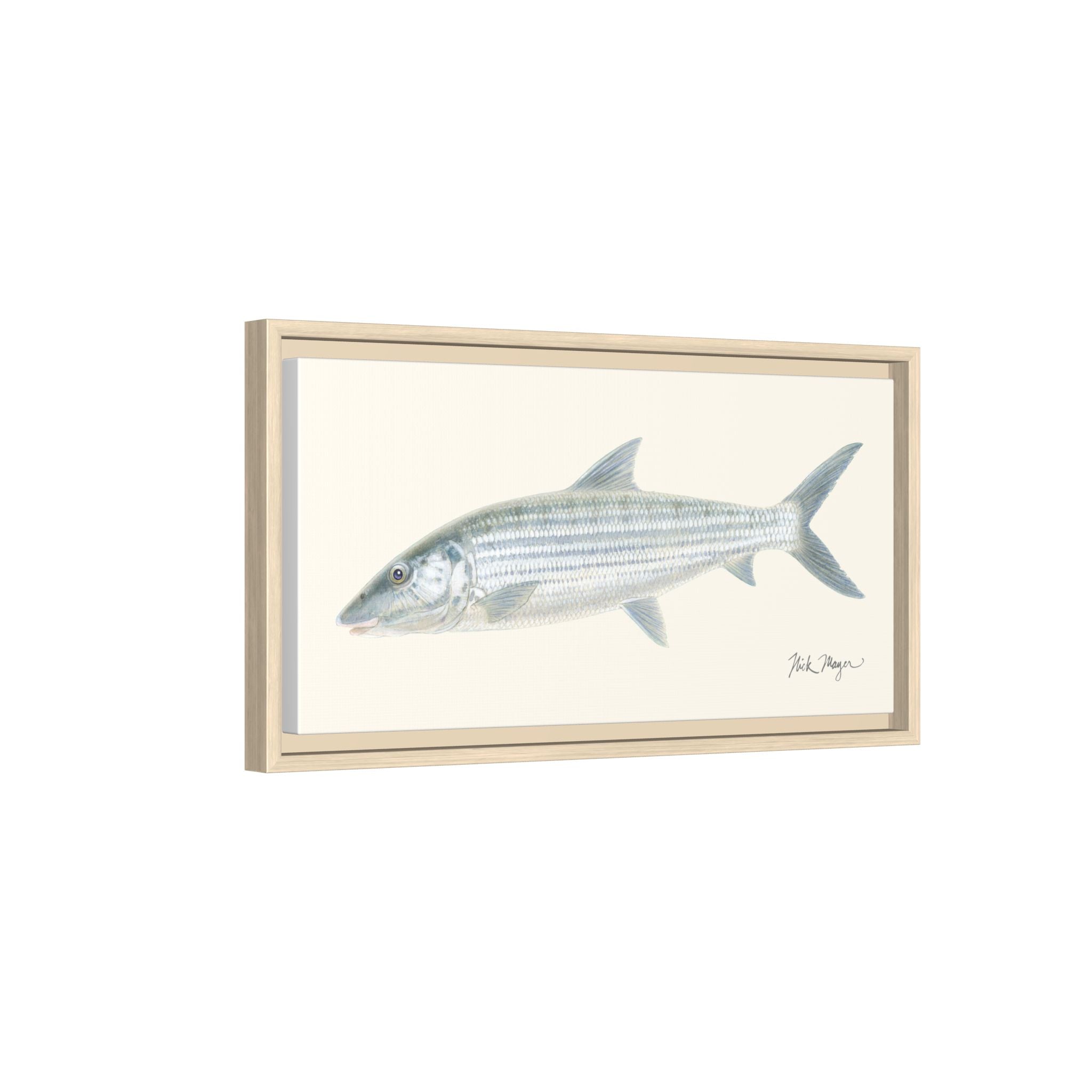 Bonefish Framed Canvas Print Printify