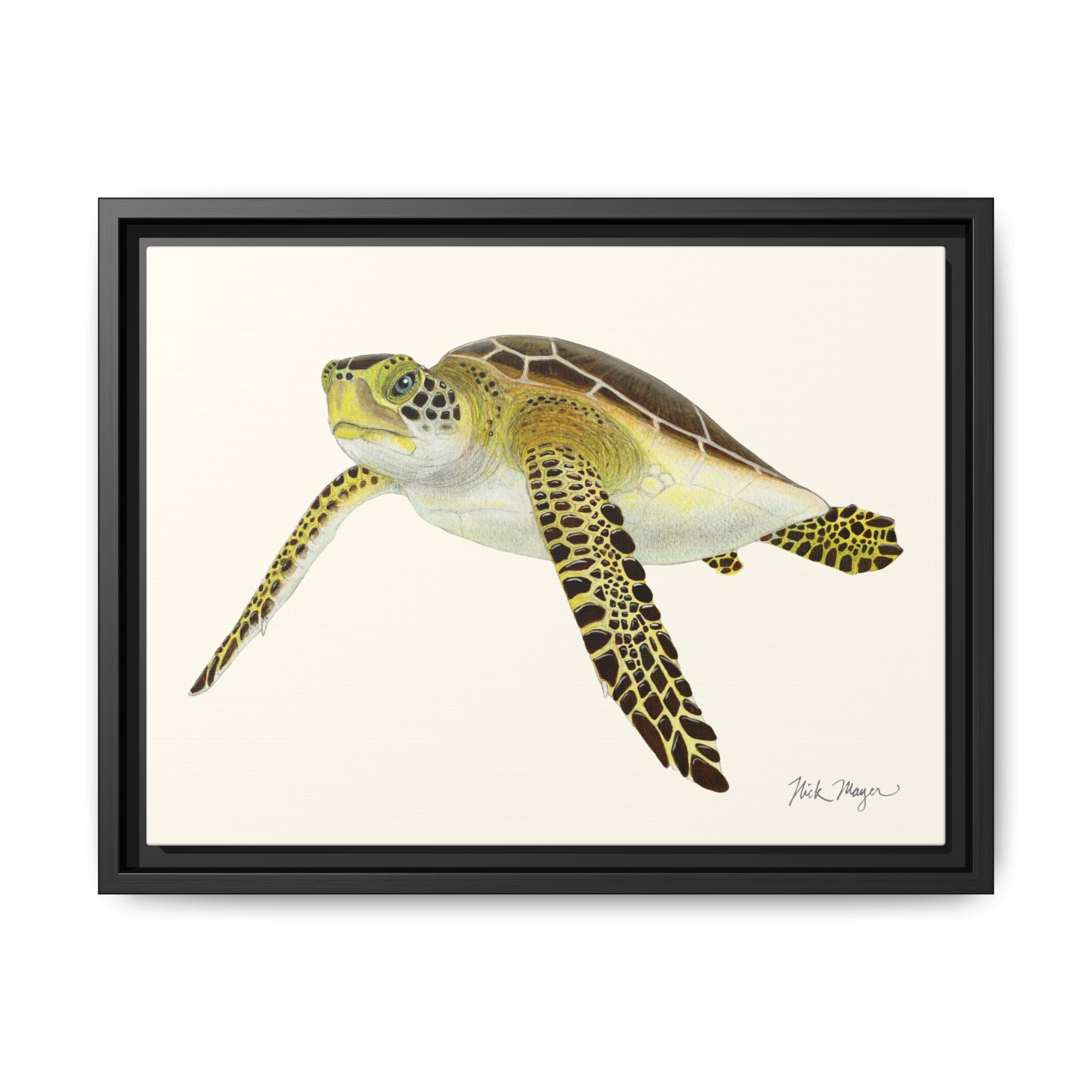 Green Sea Turtle III Framed Canvas Print Printify
