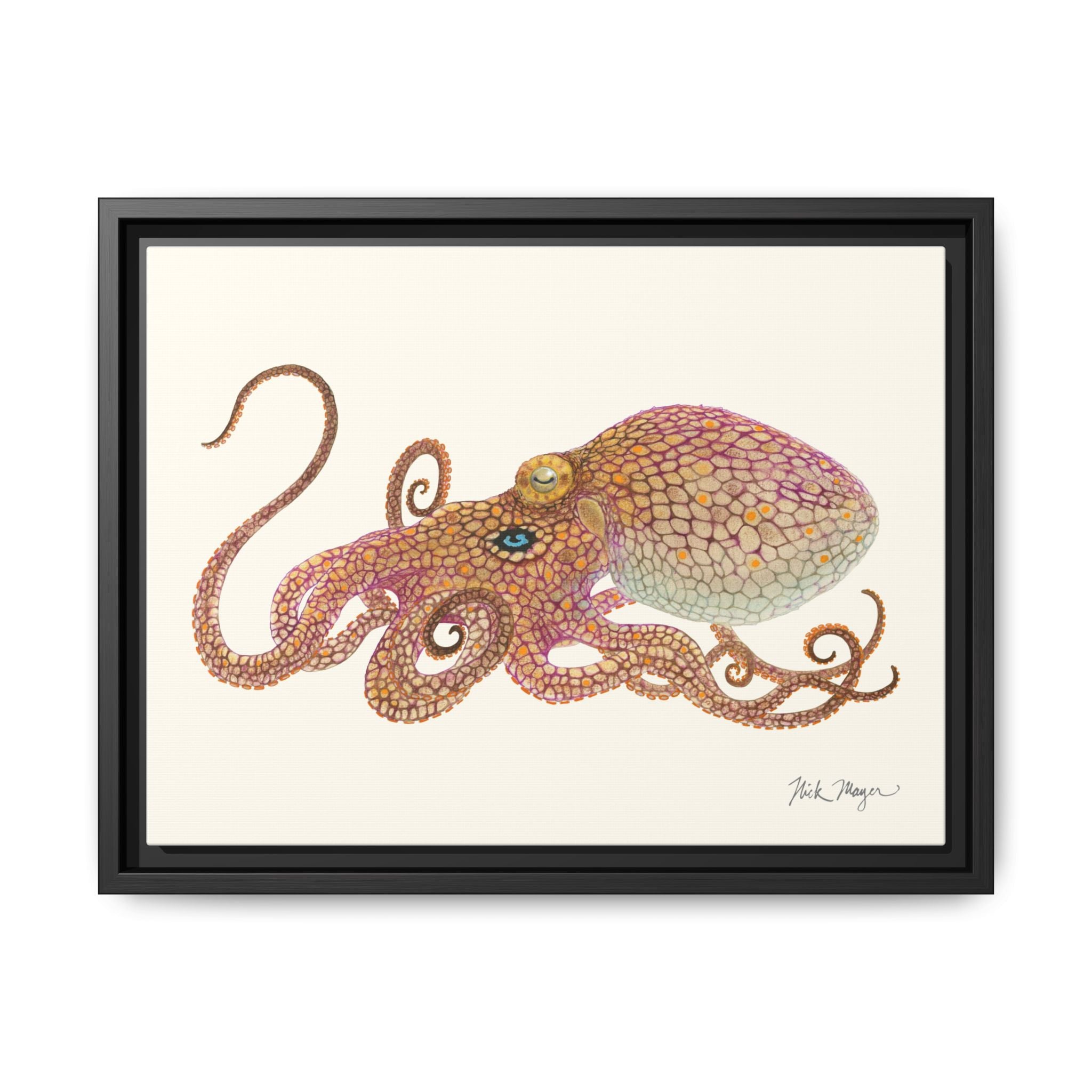 Two Spot Octopus Framed Canvas Print Printify