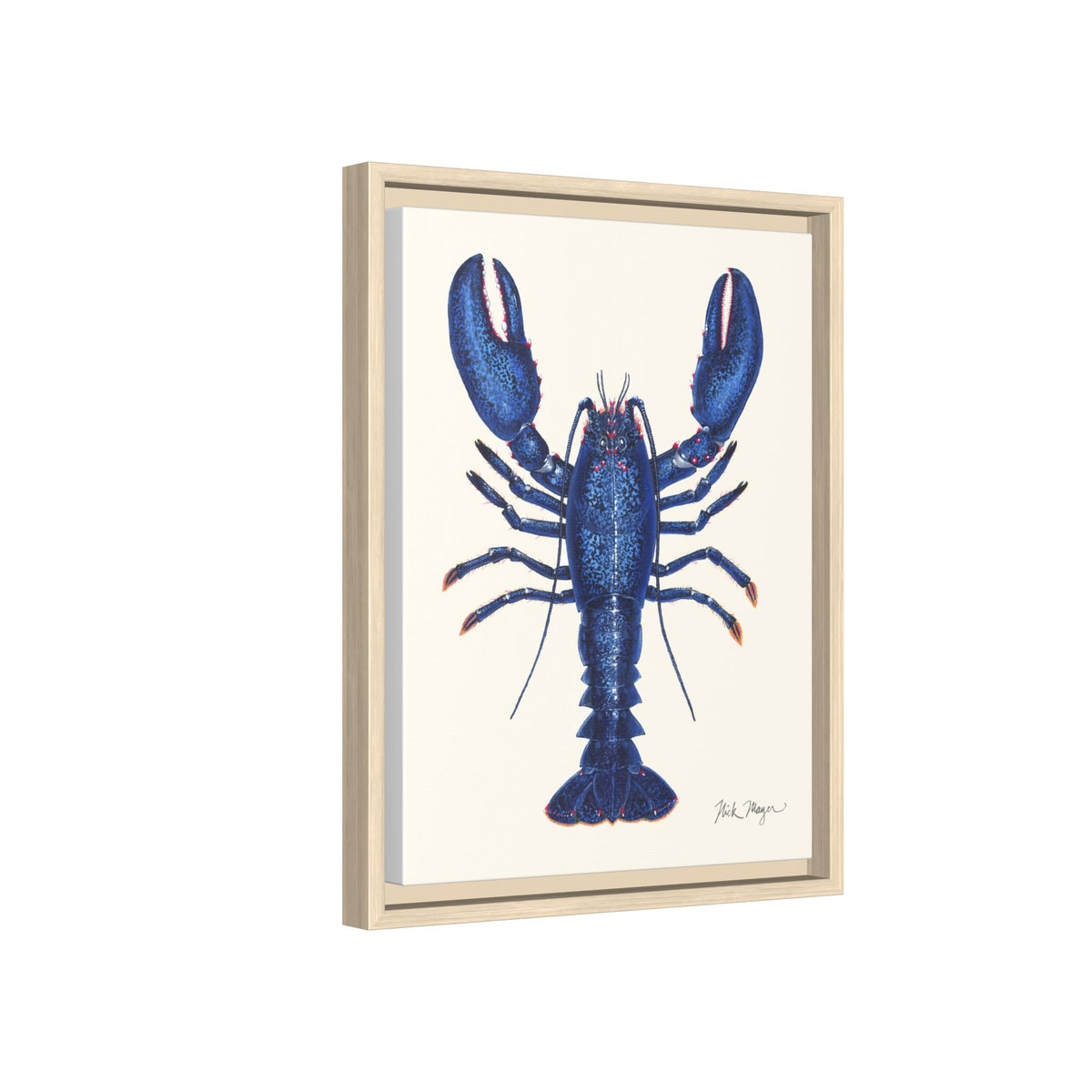 Blue Lobster II Framed Canvas Print Printify