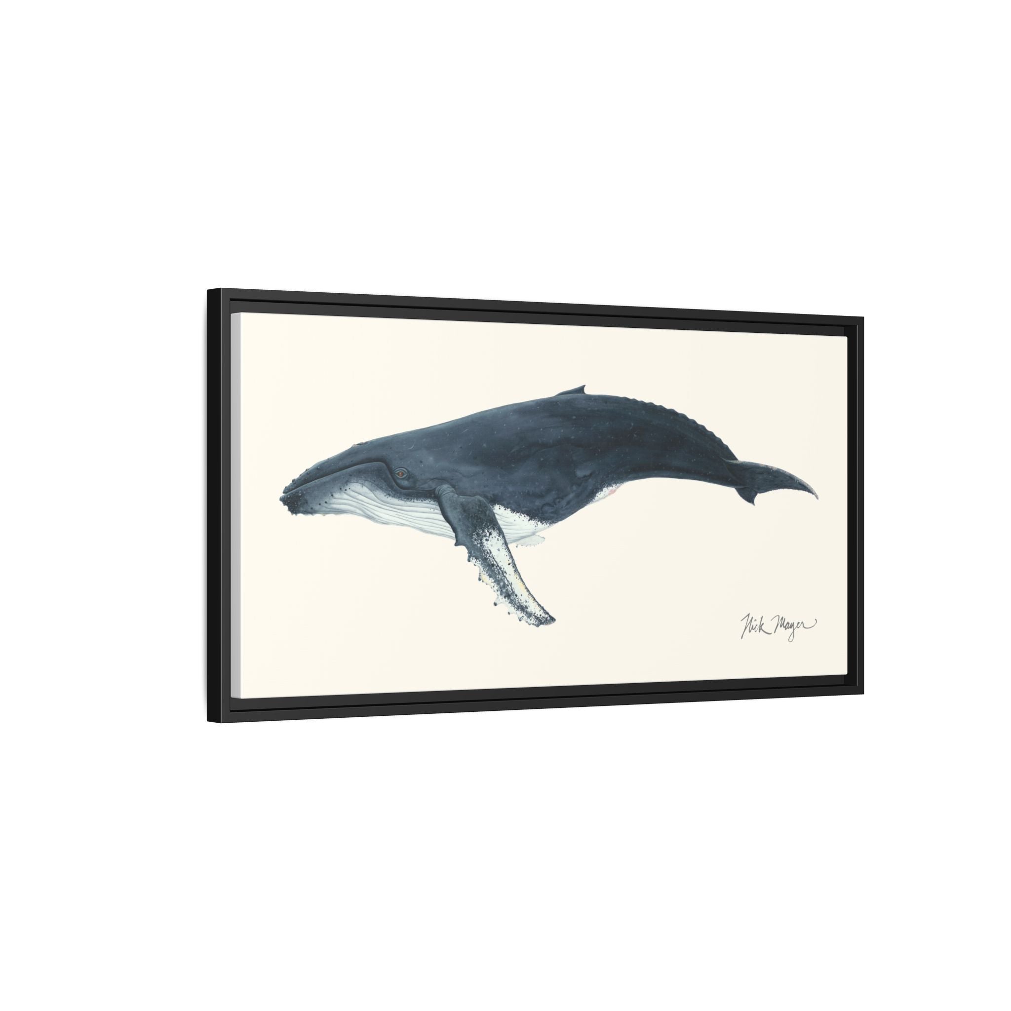 Humpback Whale Framed Canvas Print Printify