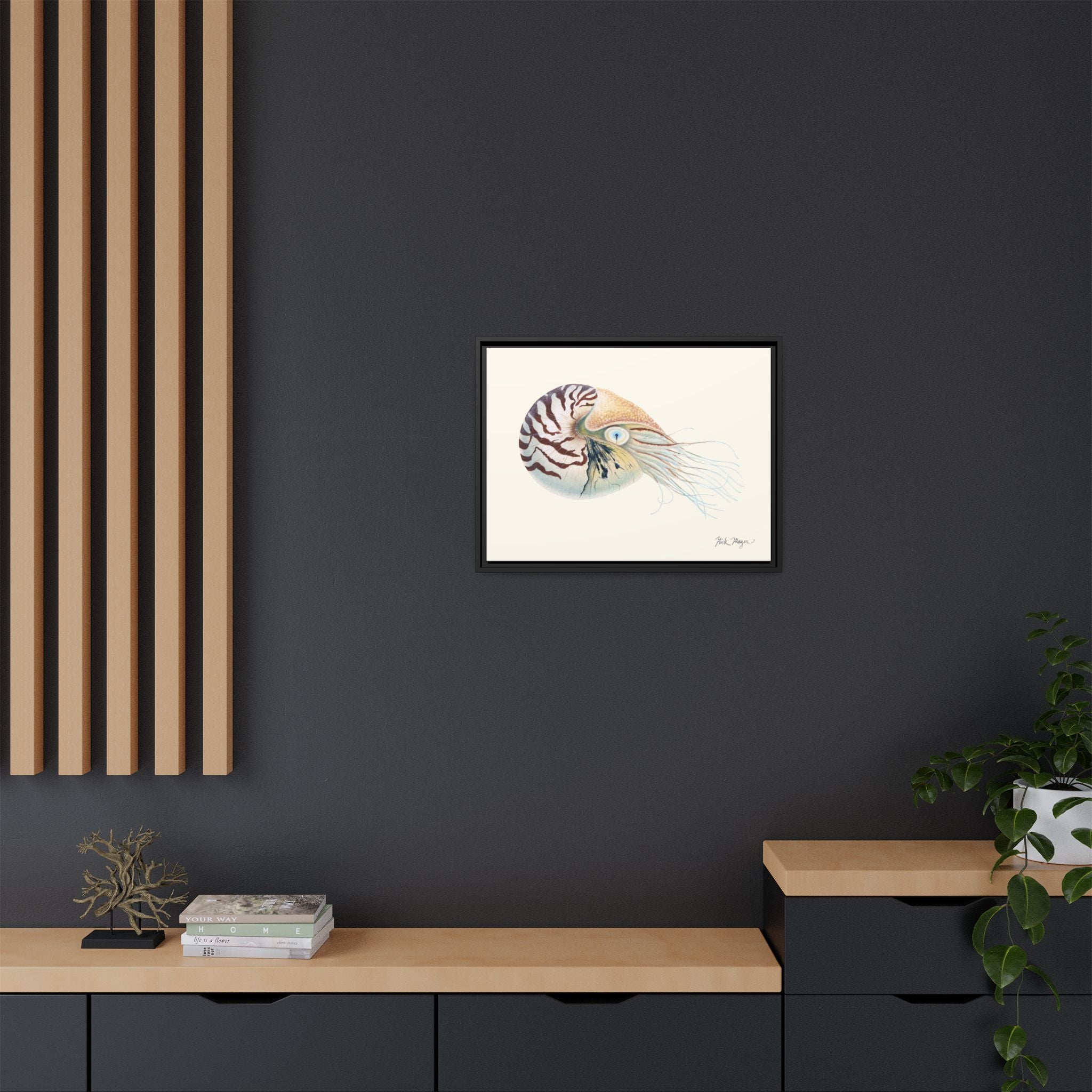 Chambered Nautilus Framed Canvas Print Printify