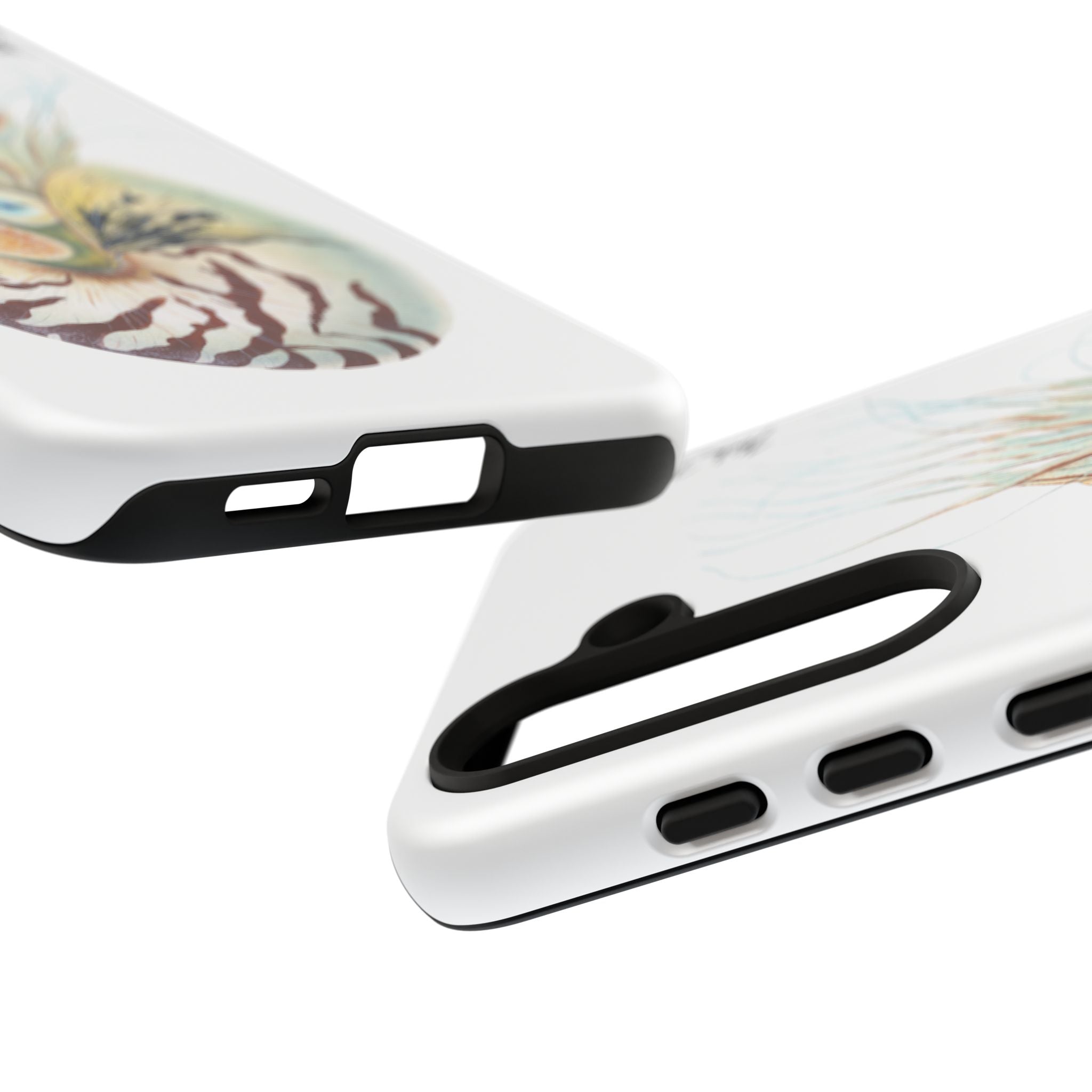 Chambered Nautilus Phone Case (Samsung) Printify